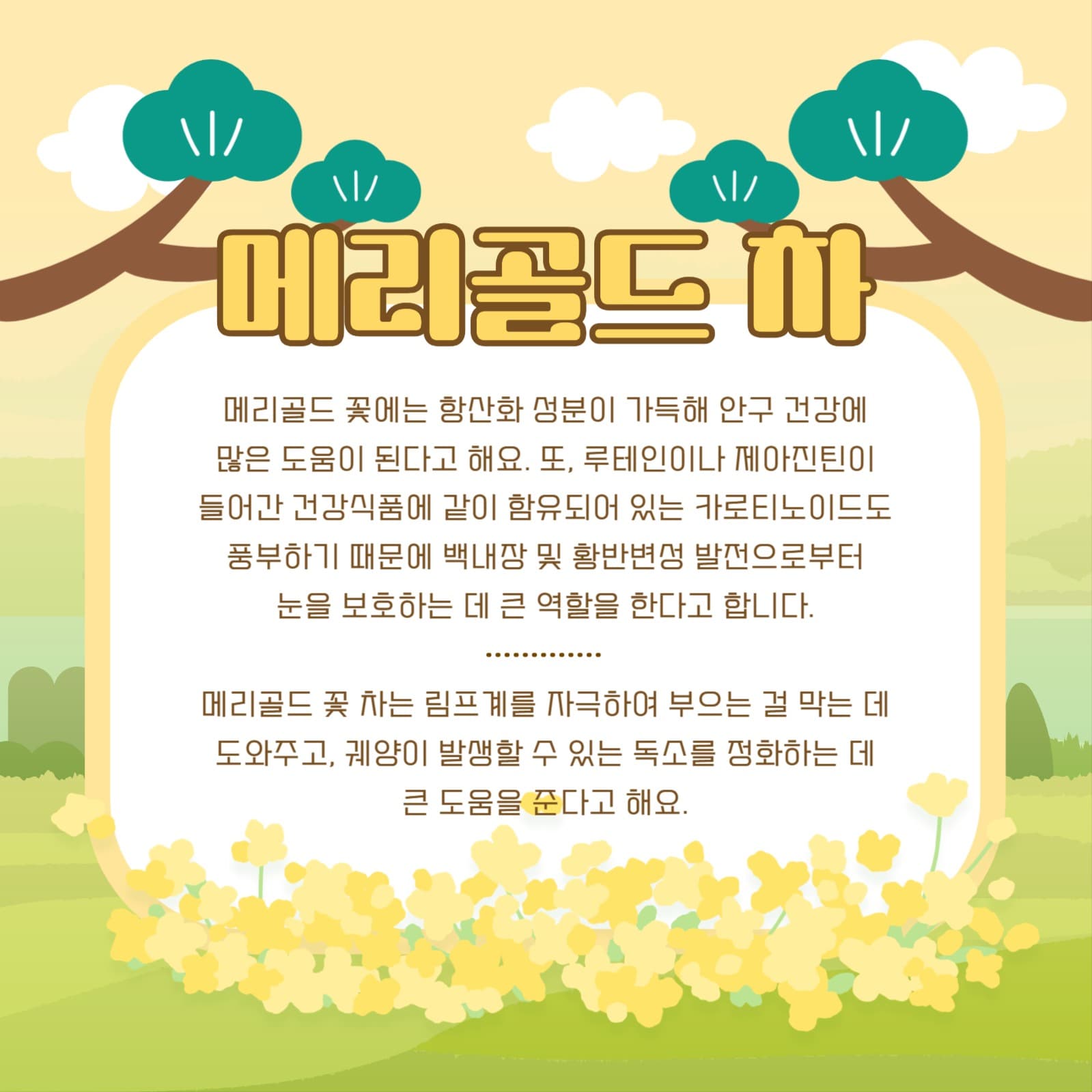 꽃 차의 효능