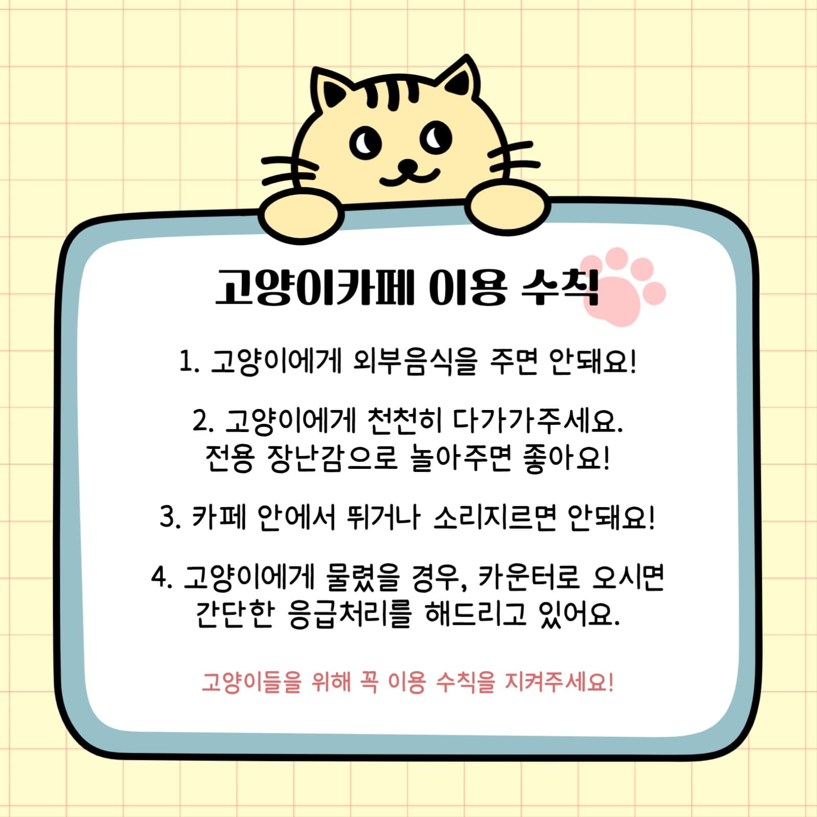 고양이카페 이용 수칙 홍보