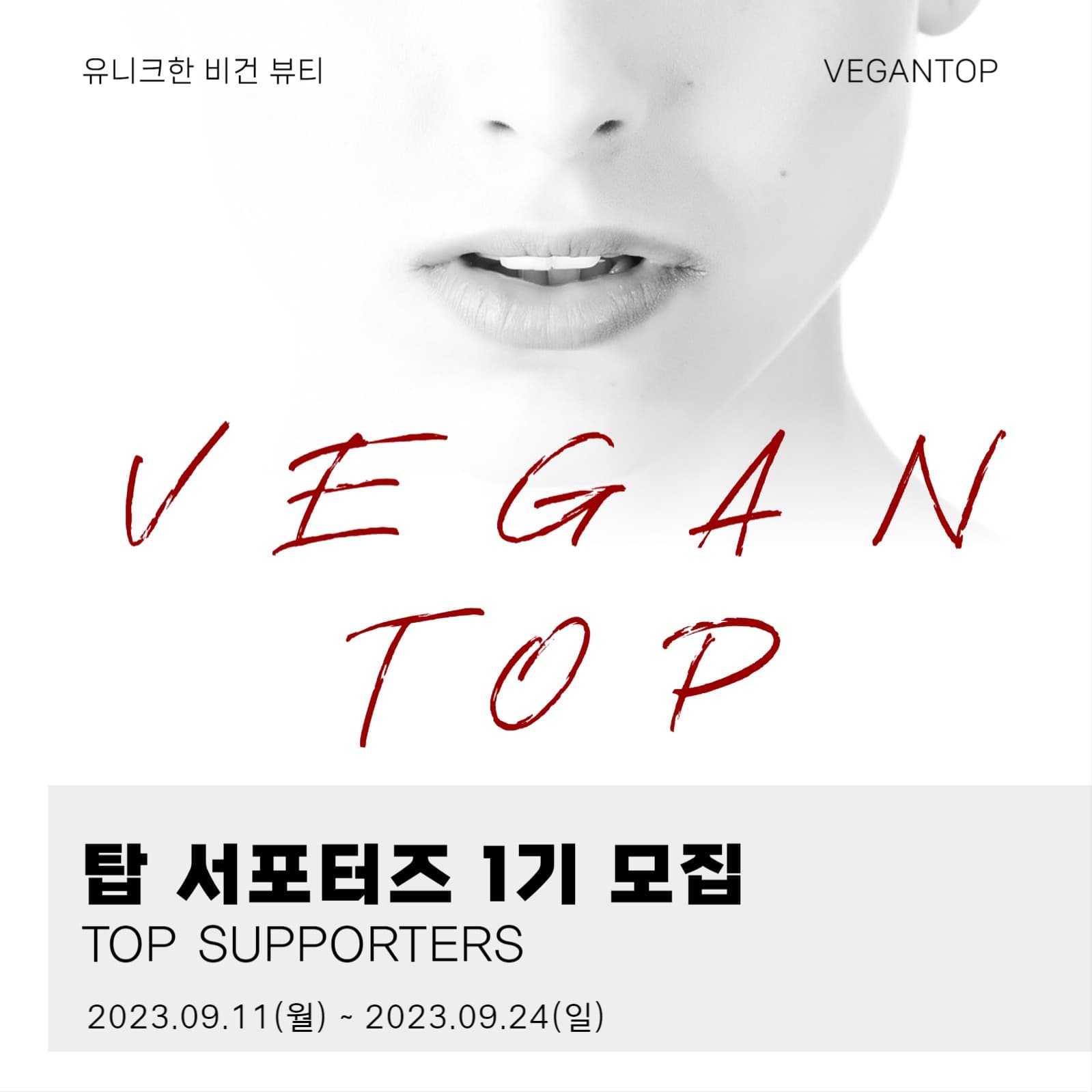 서포터즈 게시물
