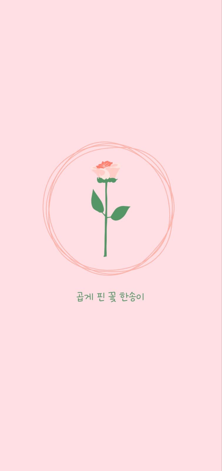 꽃한송이