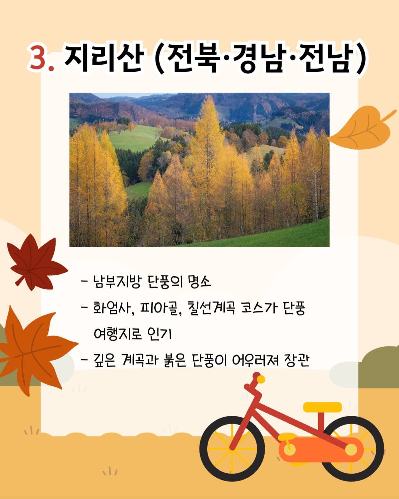 가을 단풍 국내 여행지 추천 카드뉴스
