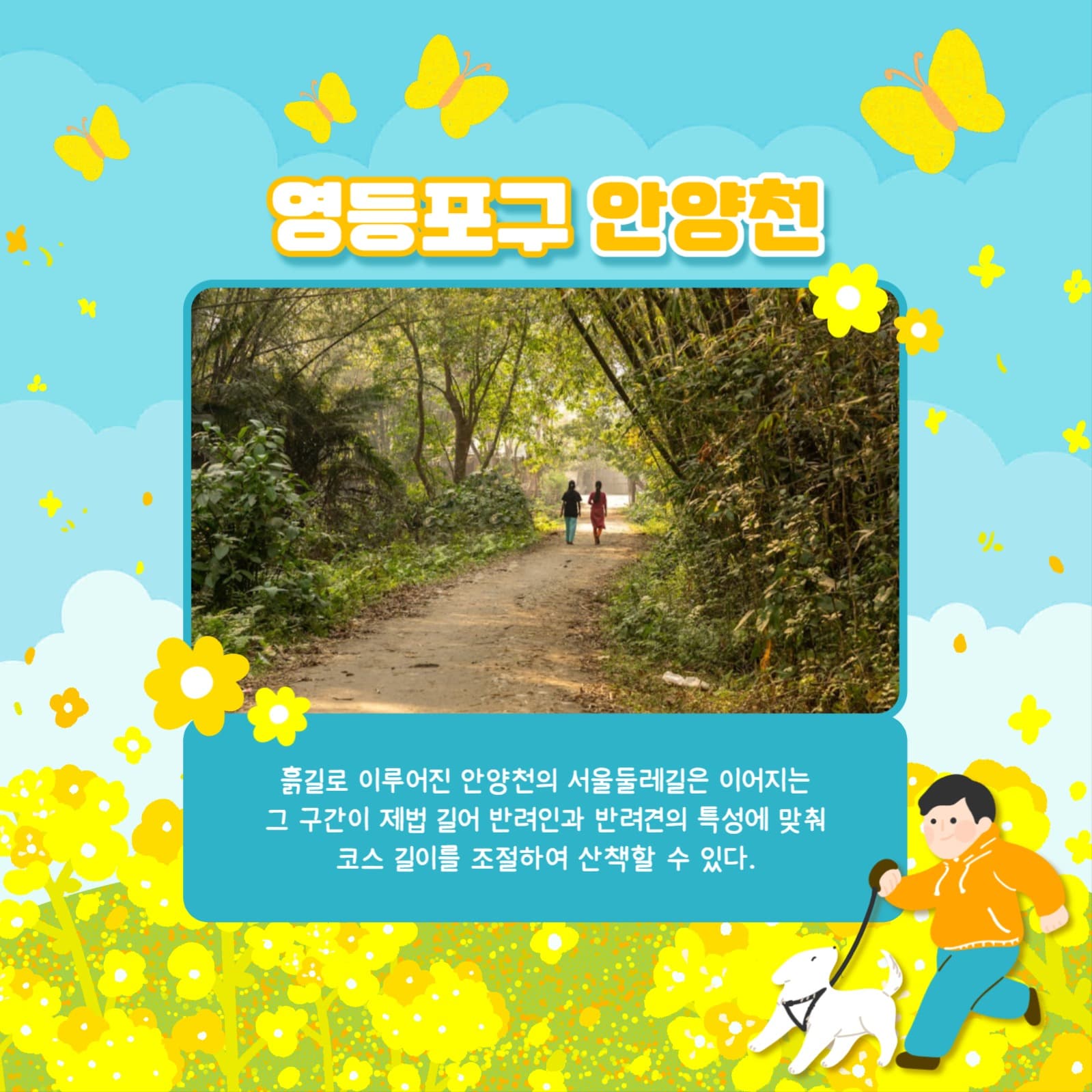 산책코스 카드뉴스