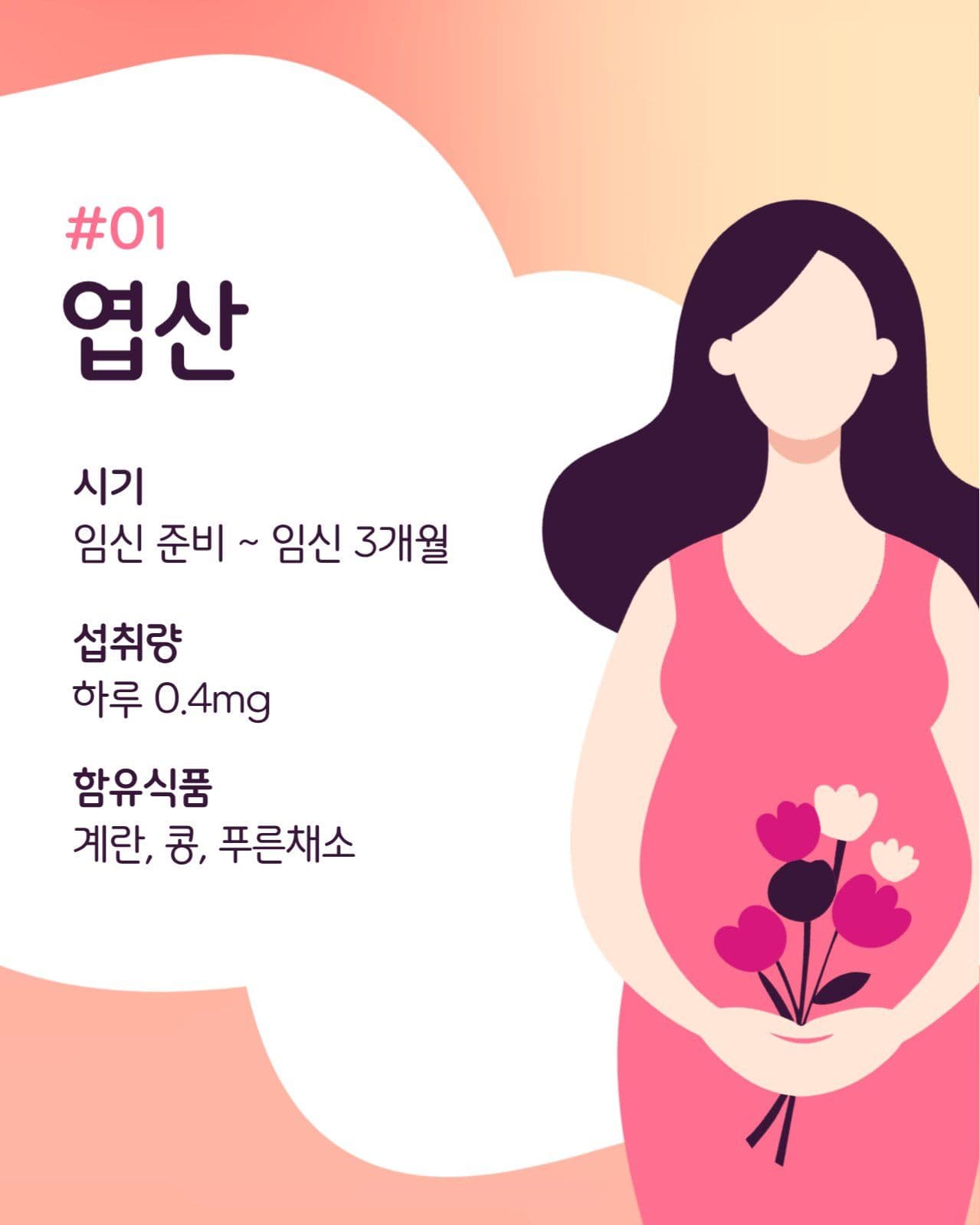 임산부 필수 영양제 카드뉴스