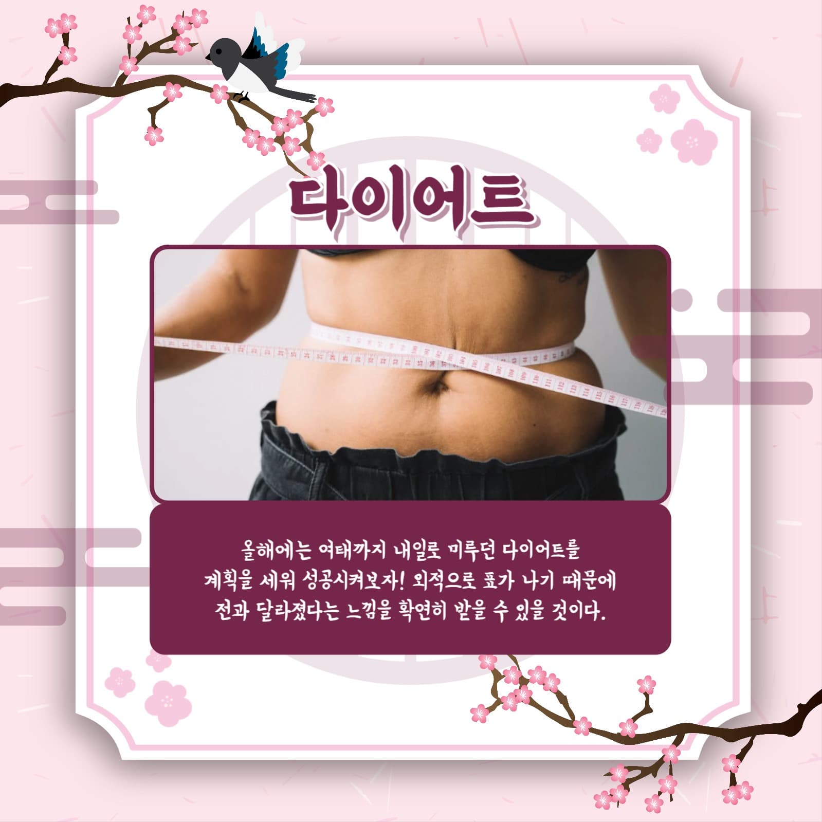 신년 목표 정하기 카드뉴스