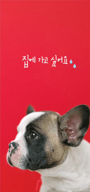 감성 배경화면 집에 가고 싶어요