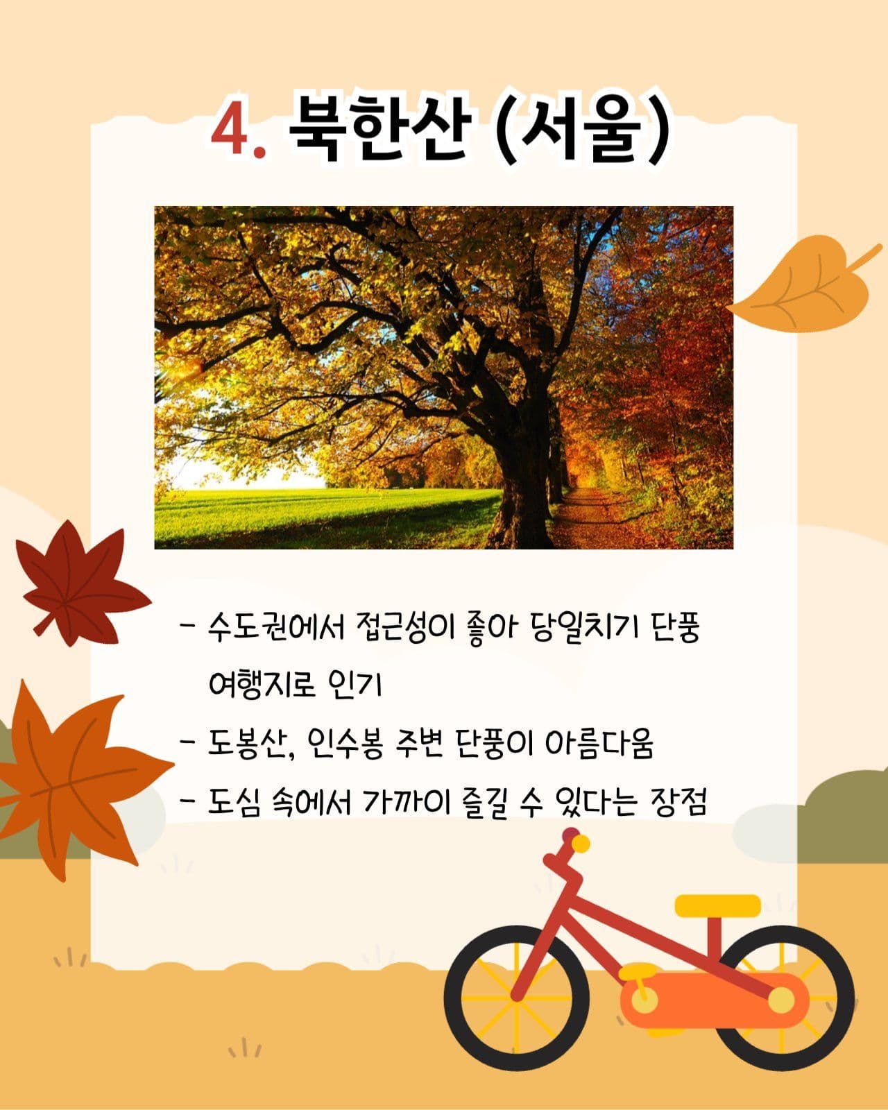 가을 단풍 국내 여행지 추천 카드뉴스