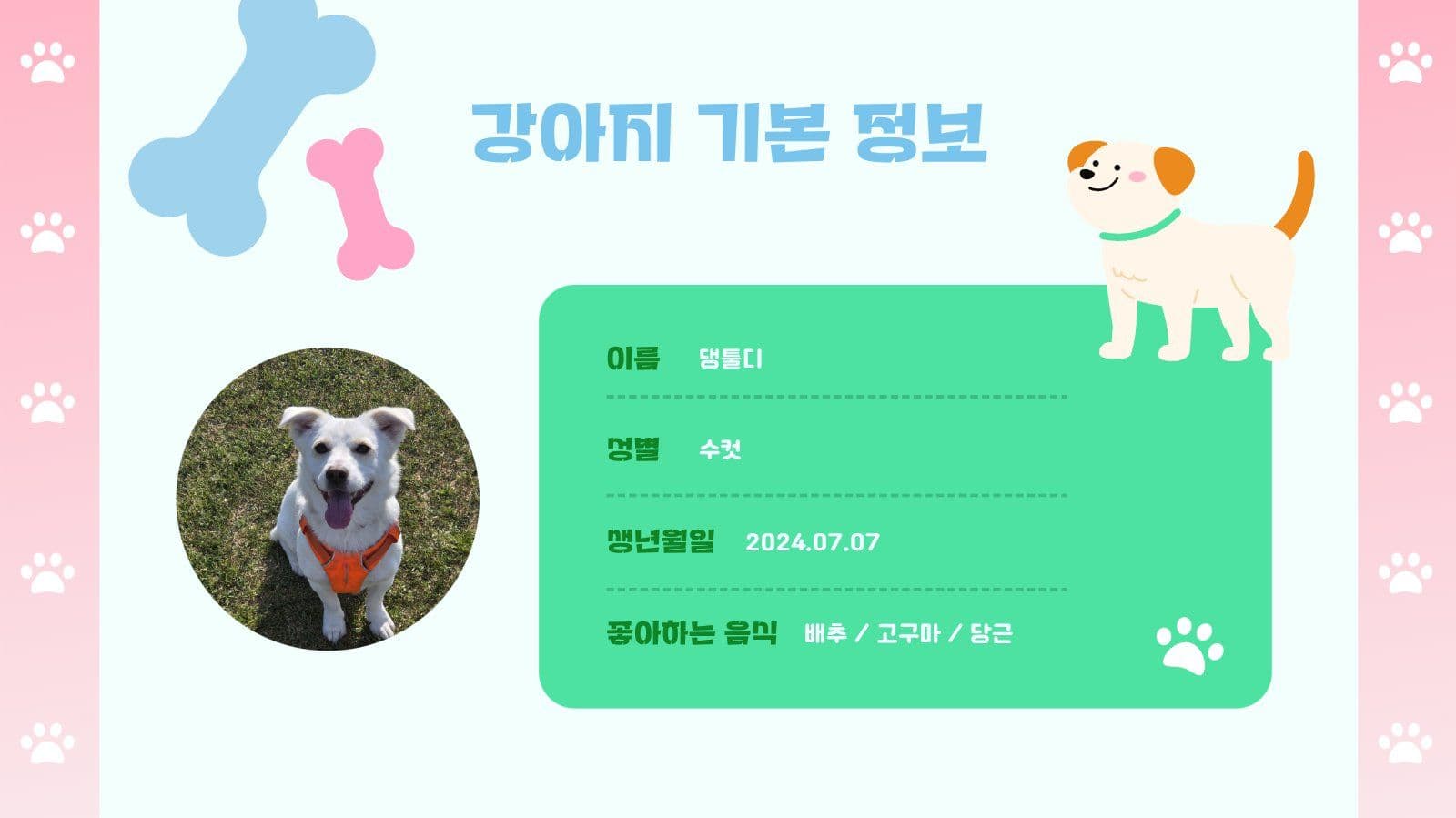 우리집 강아지 소개 PPT