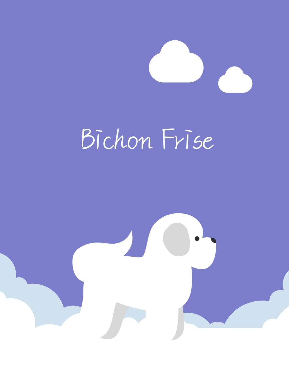 BichonFrise