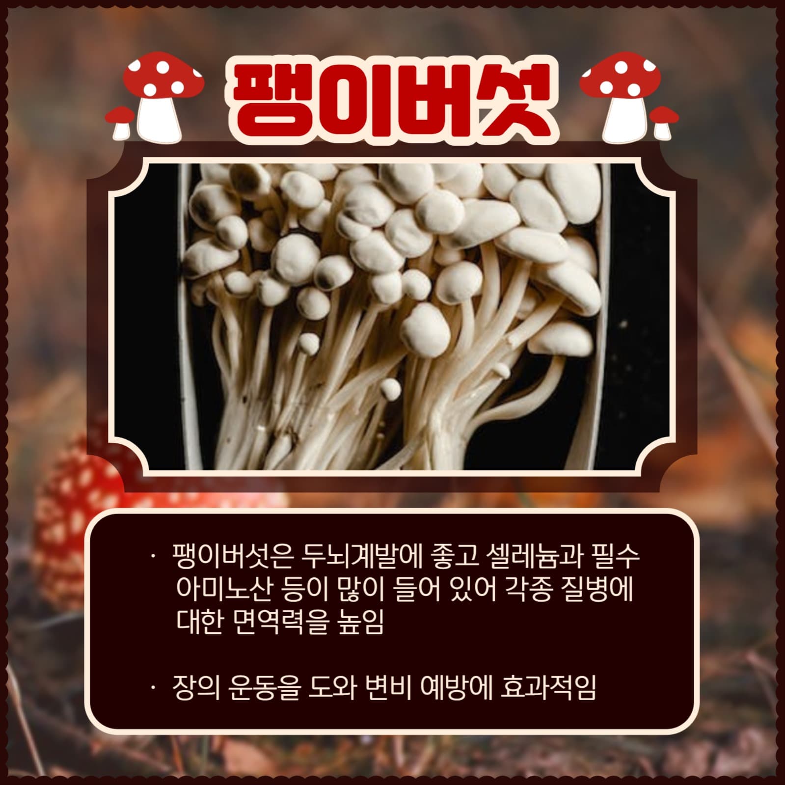 버섯의 종류와 효능 카드뉴스