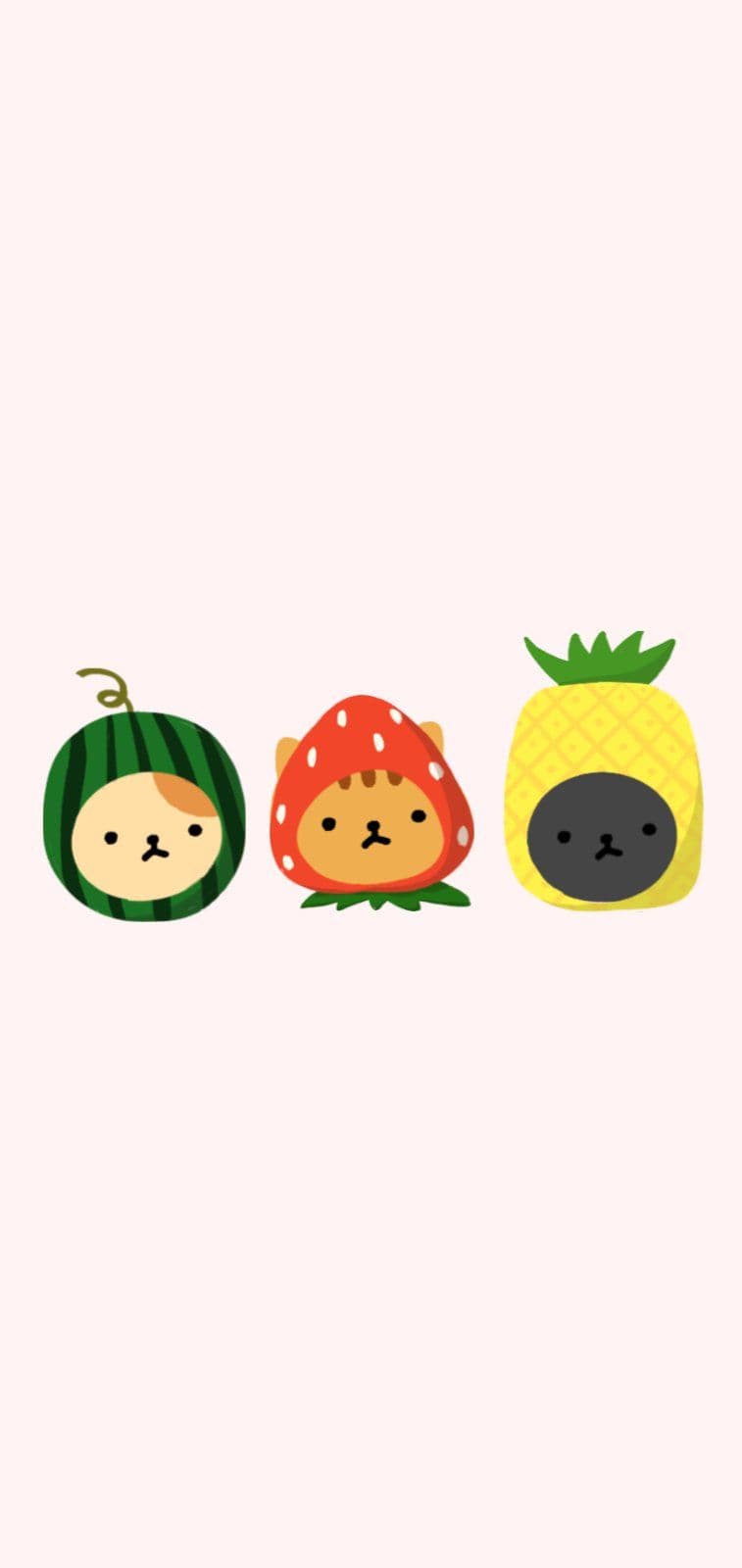 귀여운 여름과일이 왔어요~