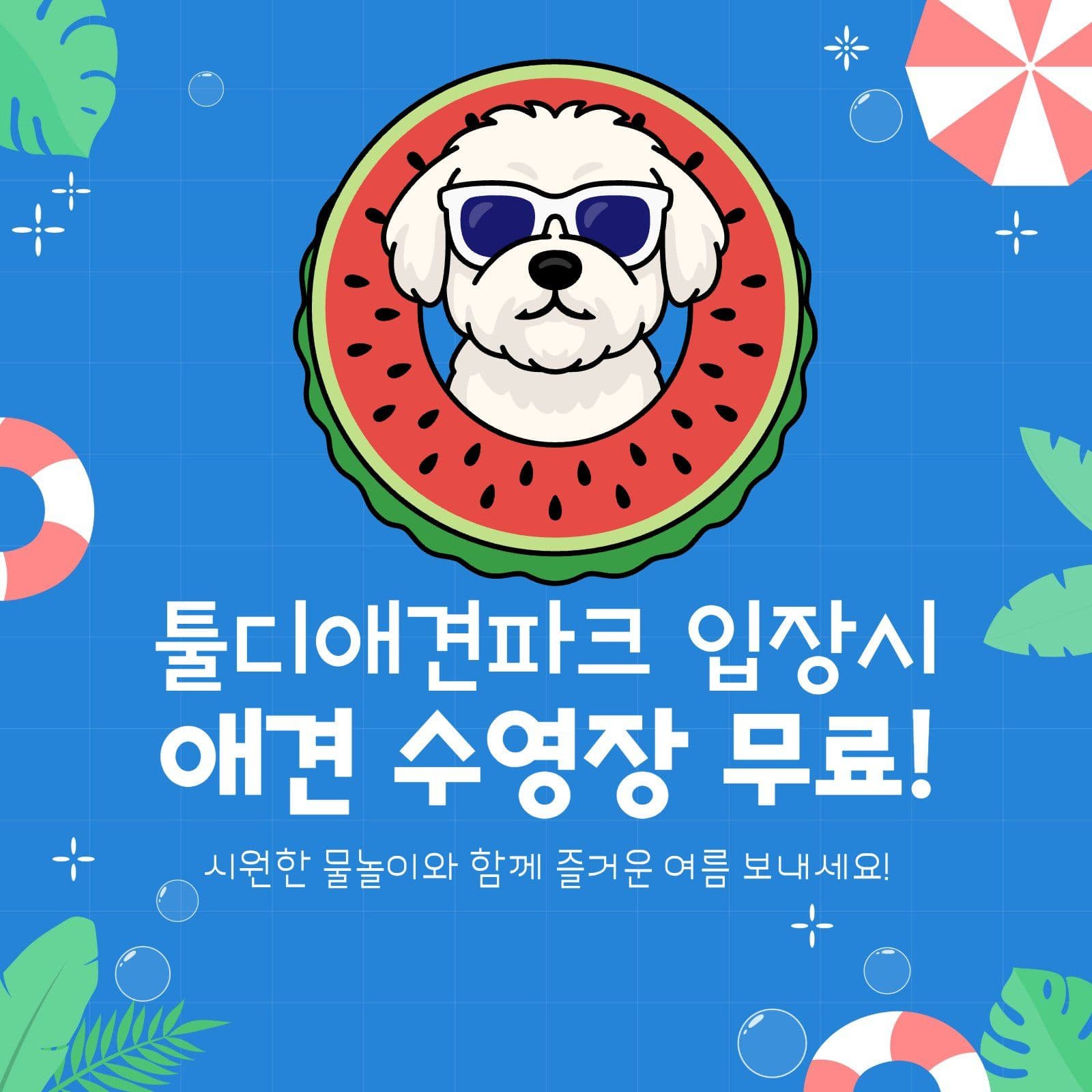 물놀이 개장 안내