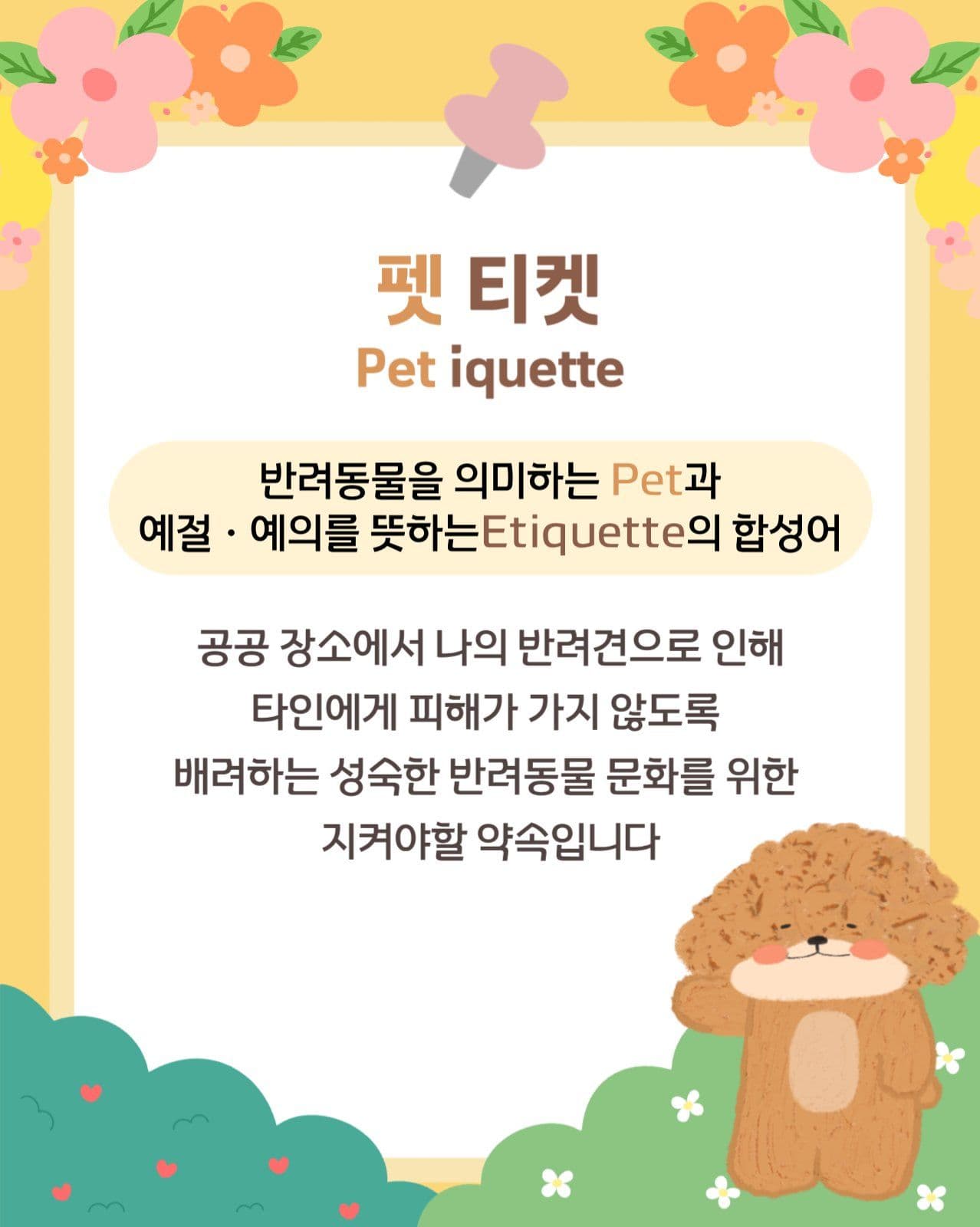 반려동물 펫티켓