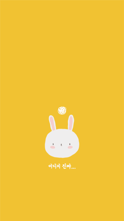 어디지 진짜 토끼 배경화면