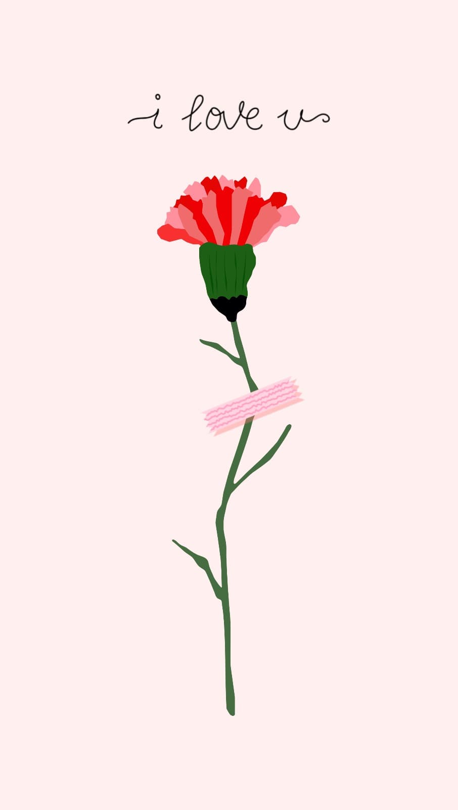 카네이션 감사 카드
