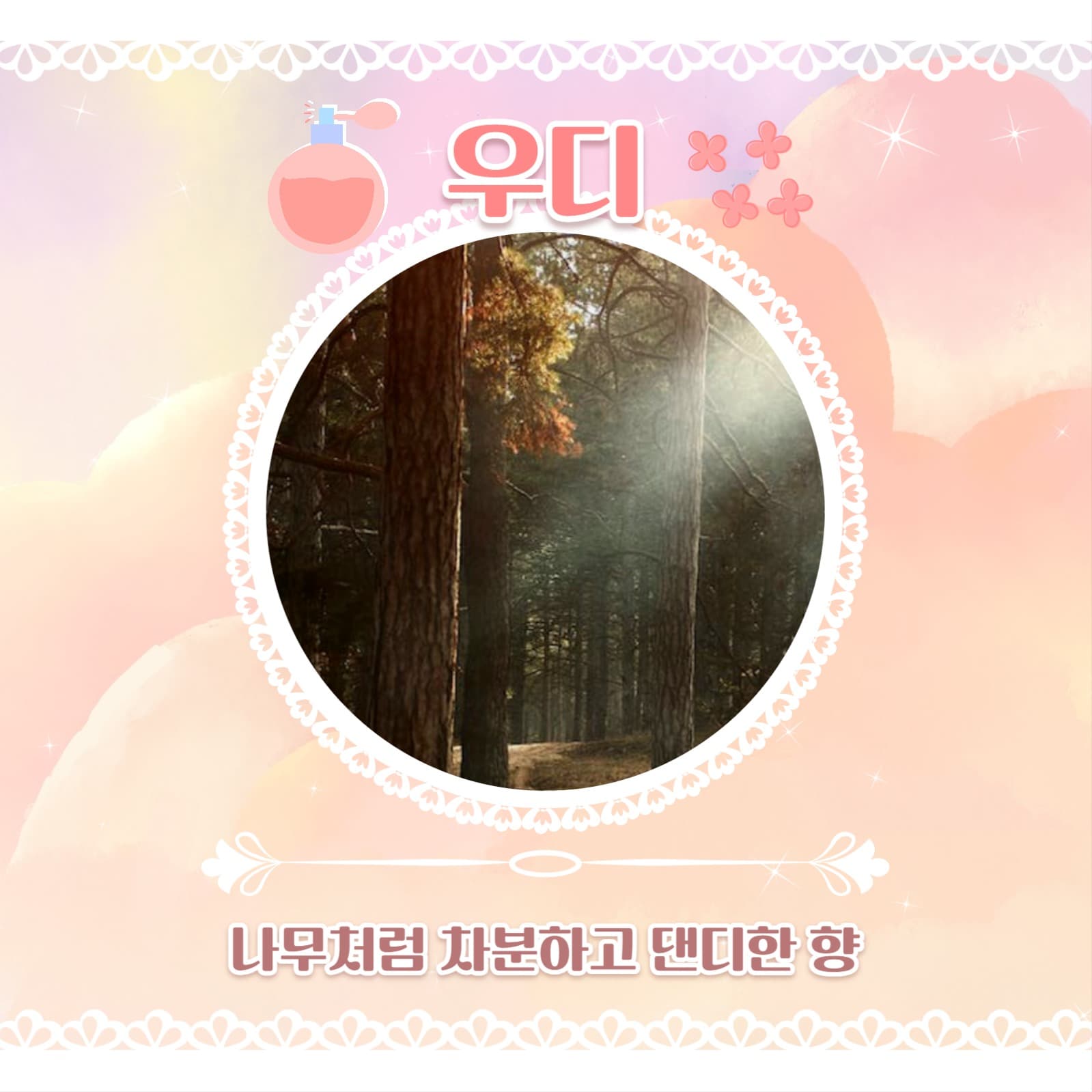 섬유 향수 추천 카드뉴스