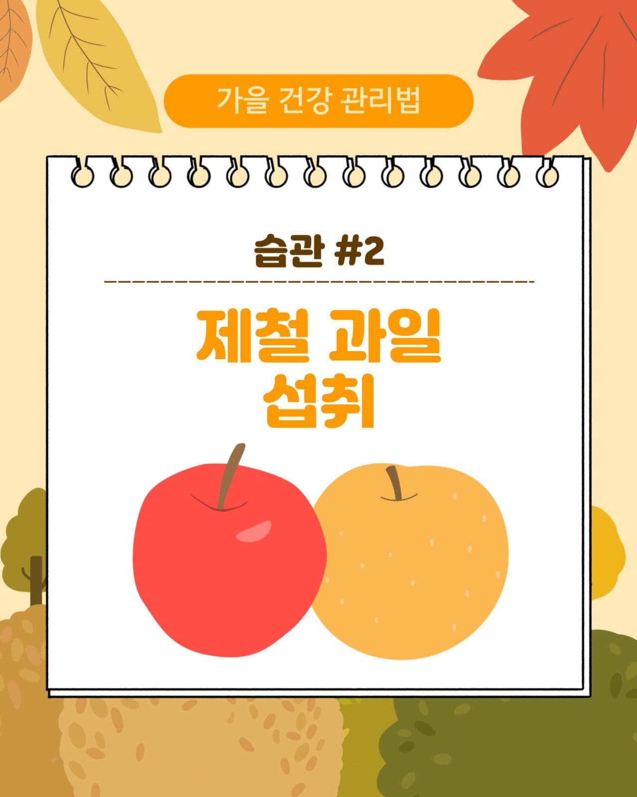 가을 환절기 건강 관리 습관 카드뉴스