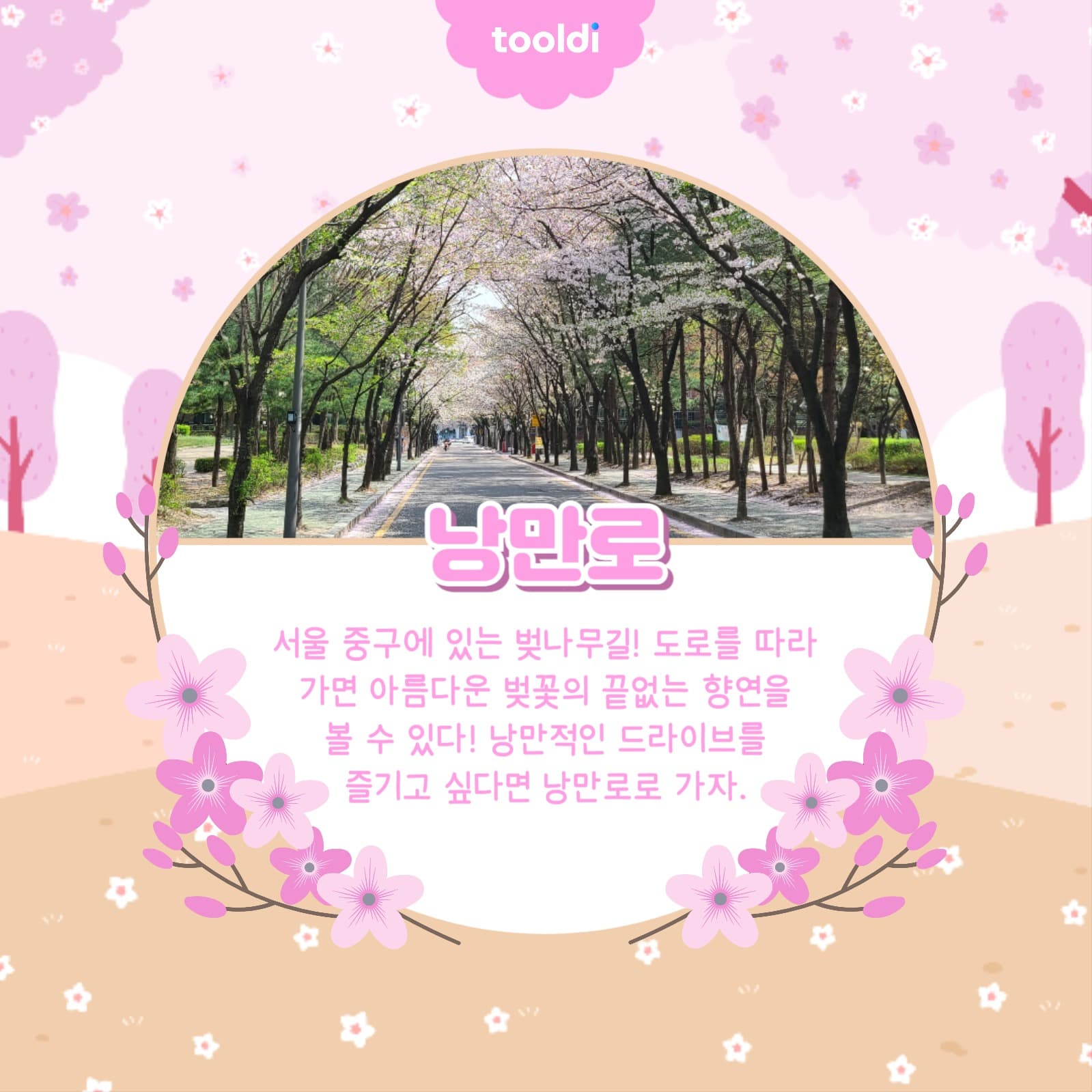 벚꽃 명소 알아보기 카드뉴스