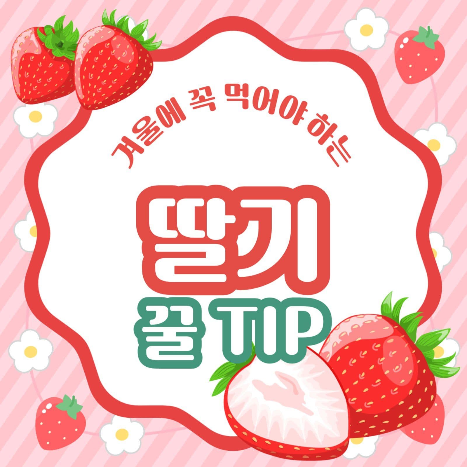 겨울 제철 과일 딸기 꿀 팁