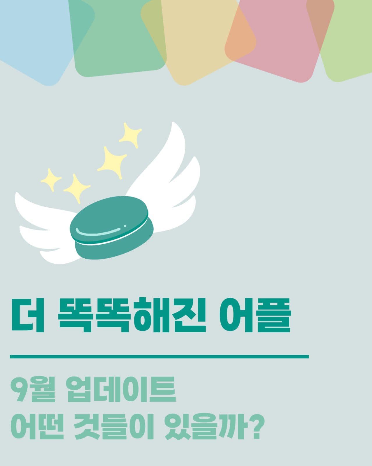 앱 업데이트 내용 카드뉴스