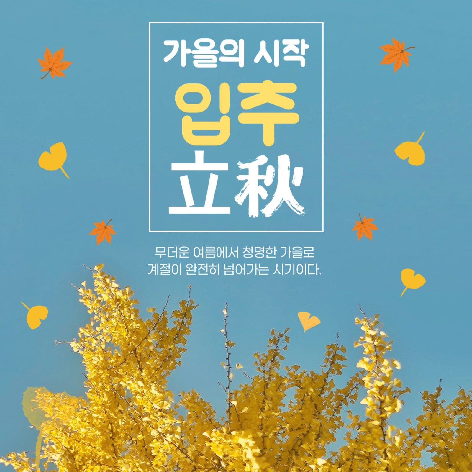 가을의 시작 입추 홍보