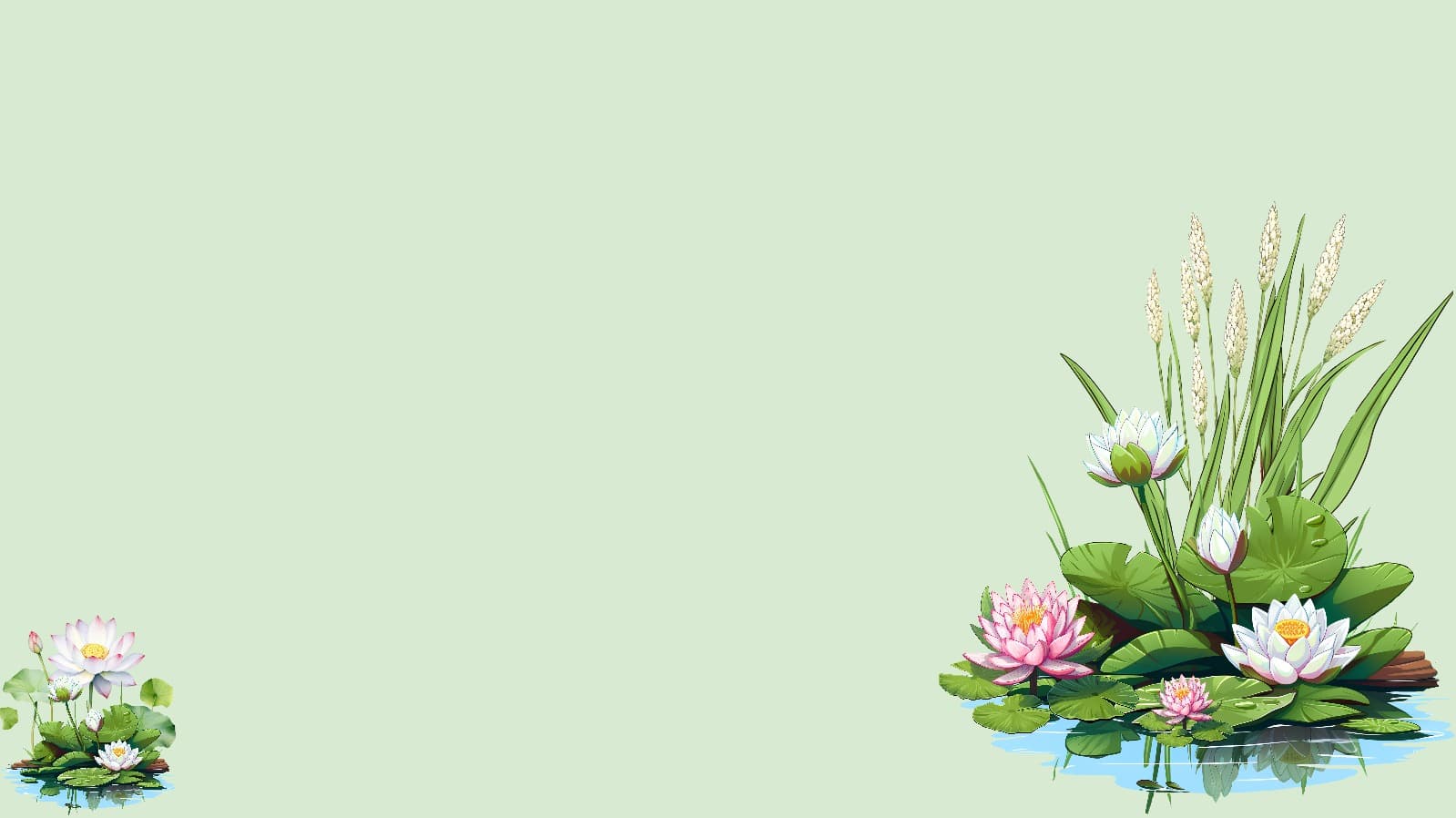연꽃 배경화면