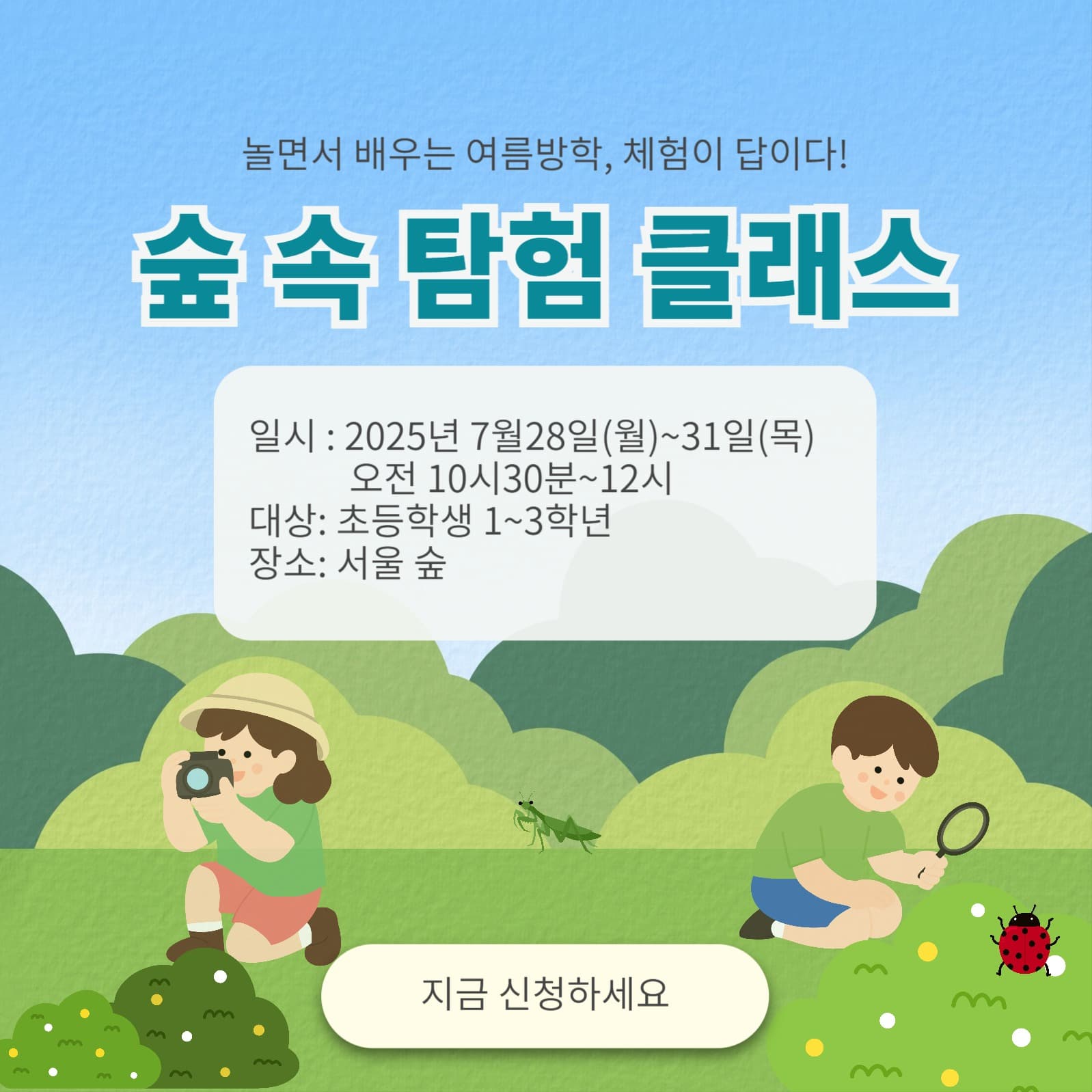 여름방학체험 학습