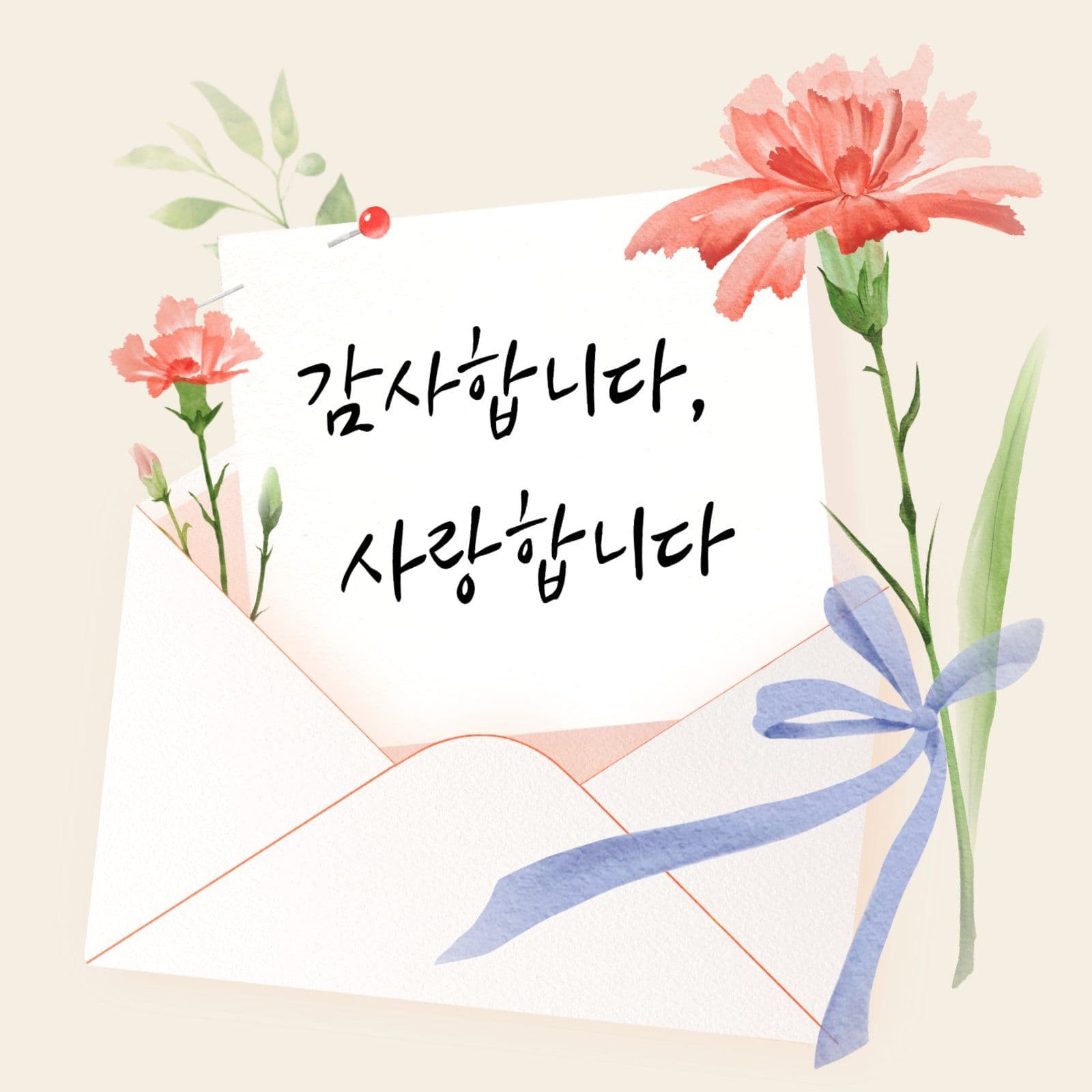 카네이션 감사카드 인사