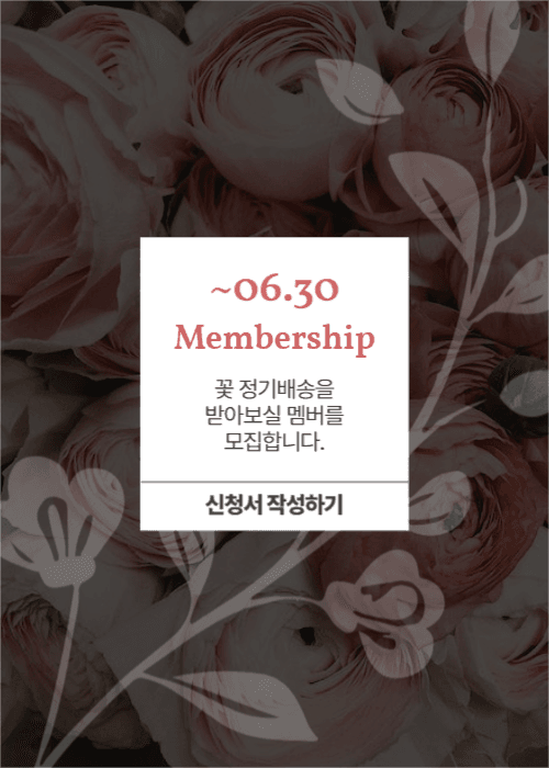 멤버십 꽃 정기배송
