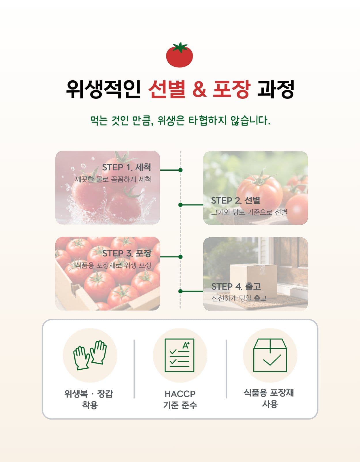 토마토 과일 야채 식품 상세페이지