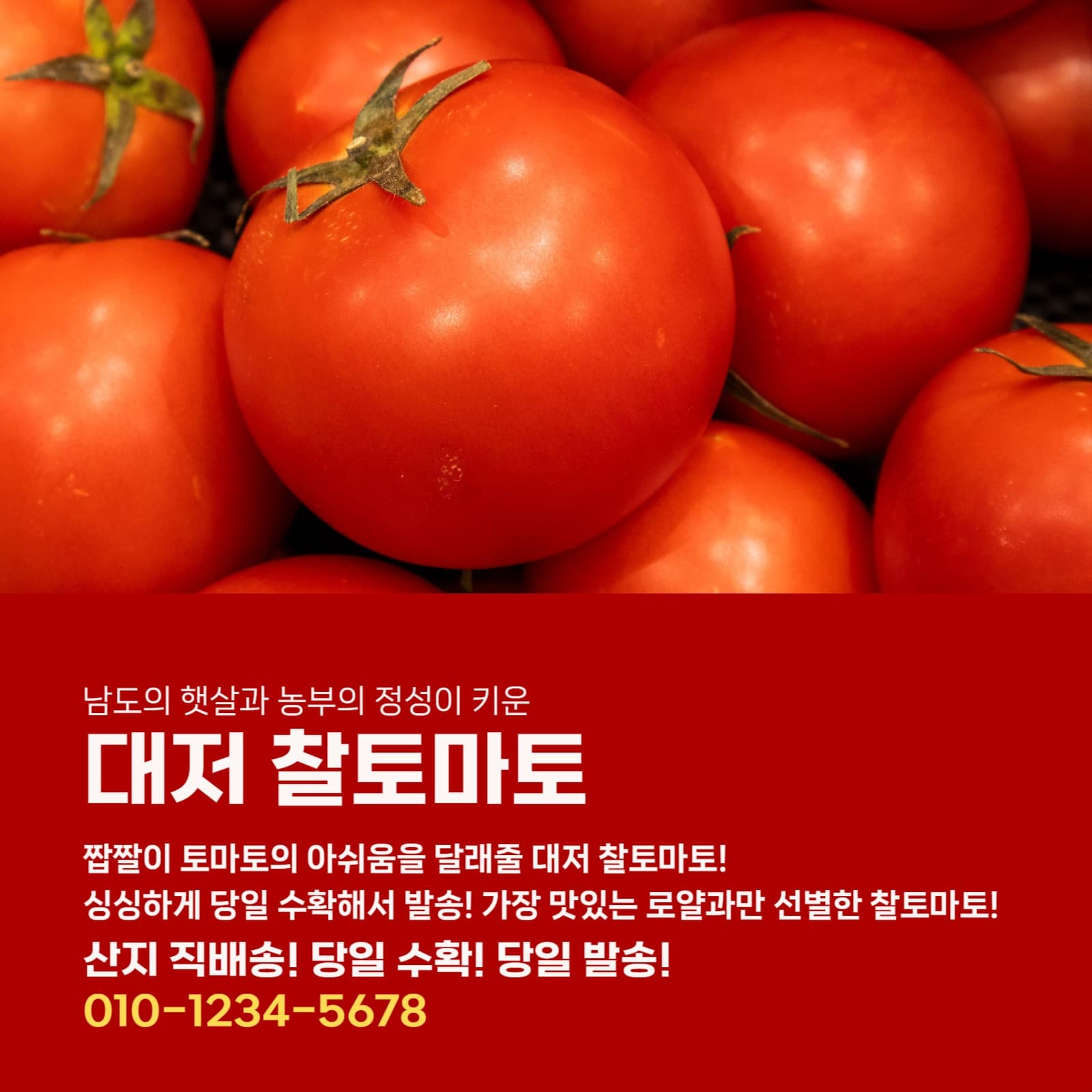 빨간색 농산물 직배송  광고