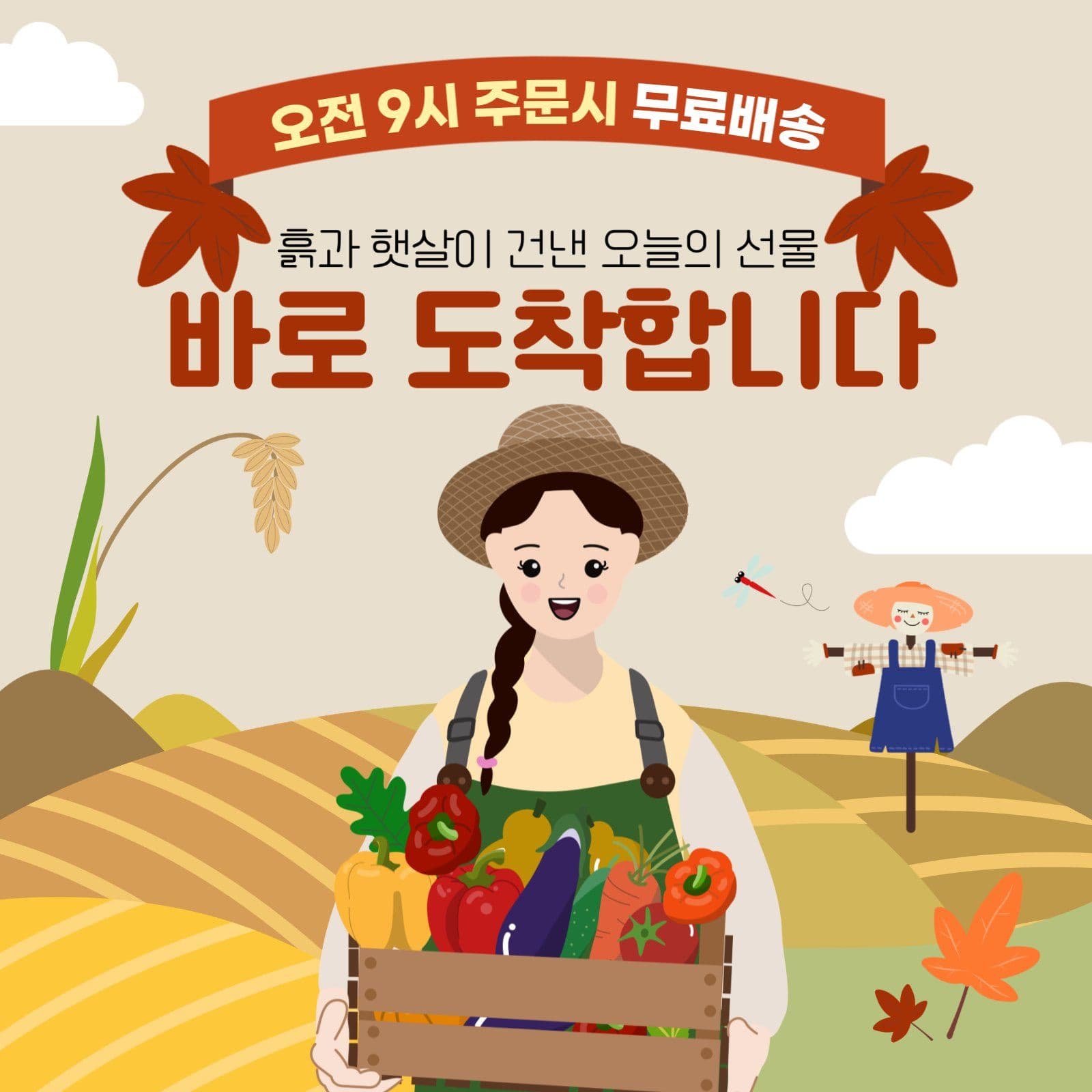 산지직송무료배송
