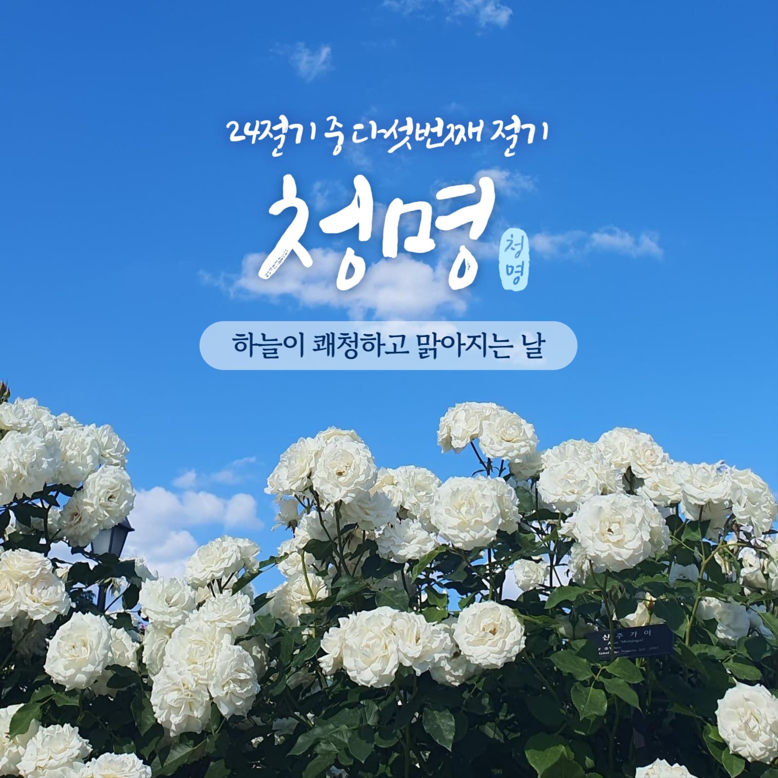 청명