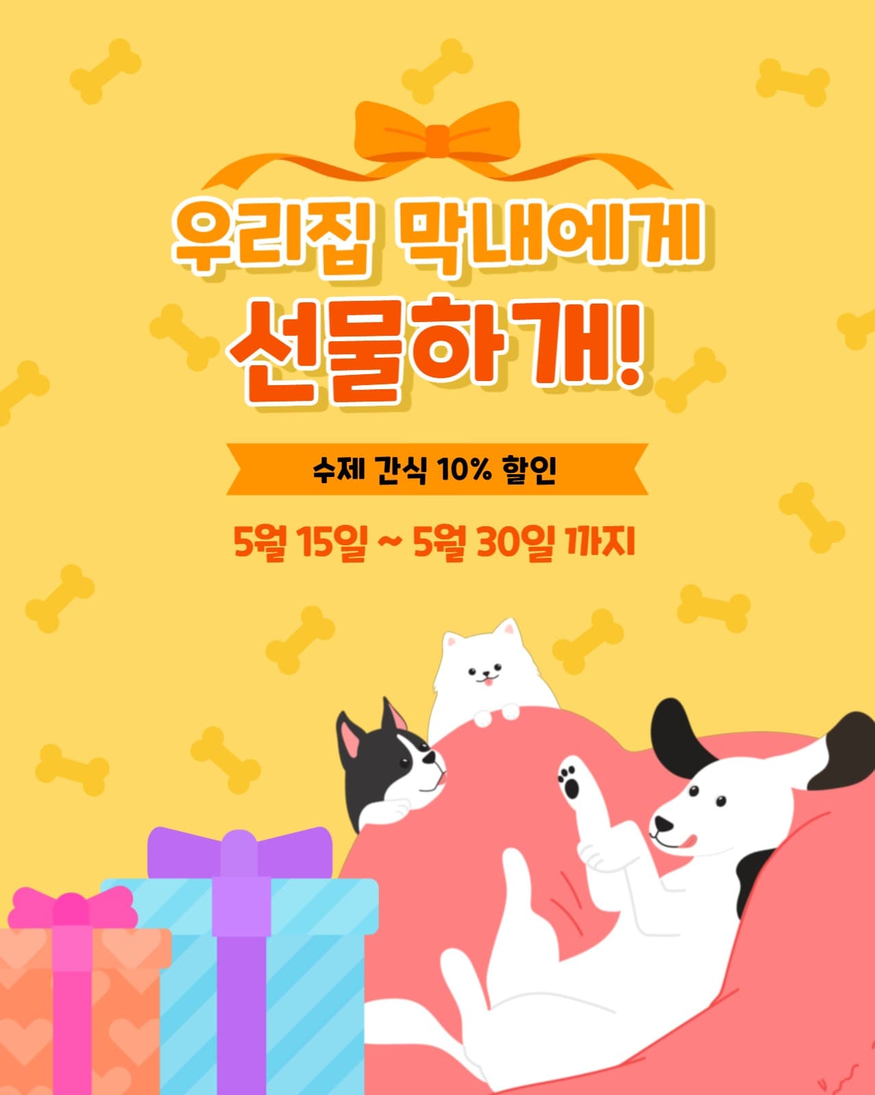 애견 간식 할인