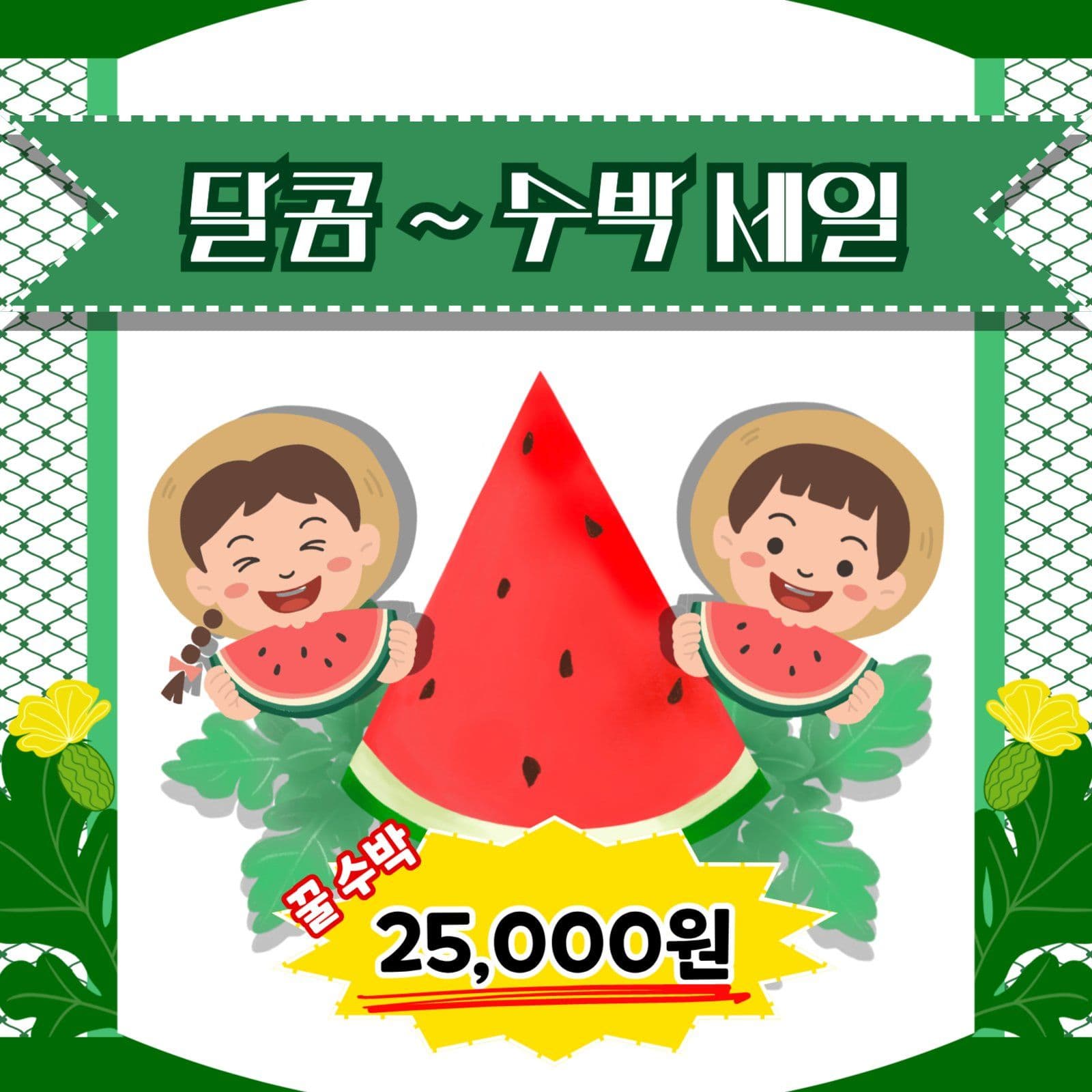 수박세일