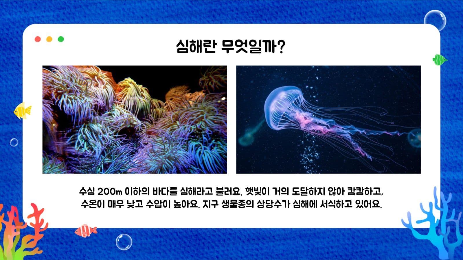 산호초 해양생물 교육자료