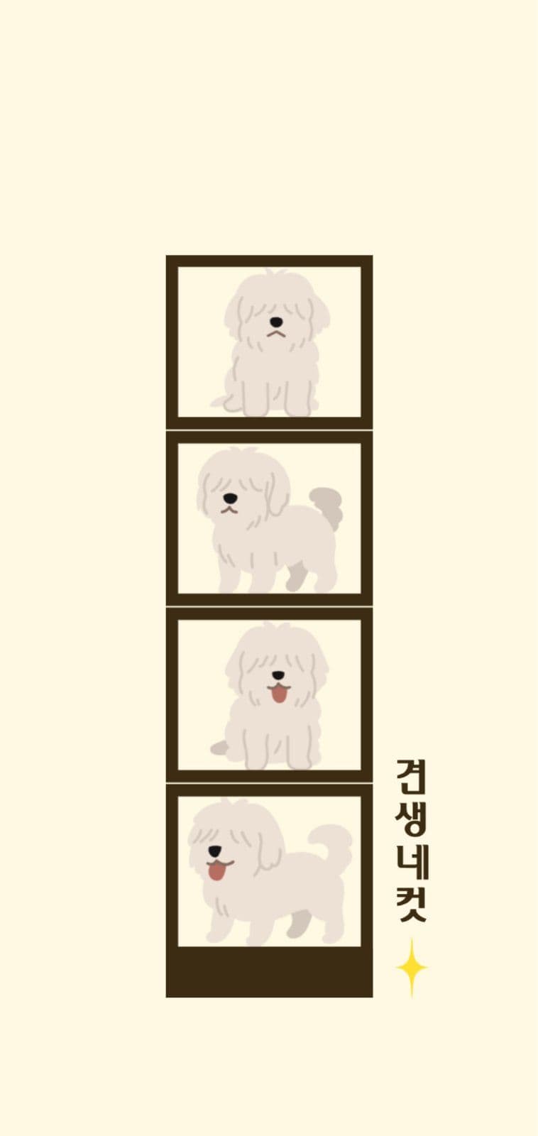 견생네컷폰배경화면