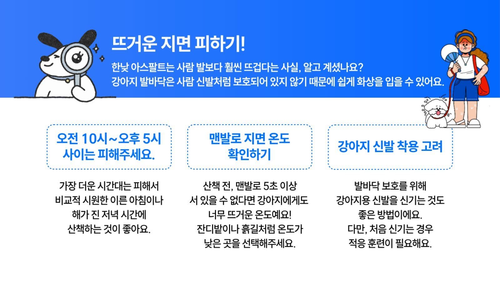 강아지 여름산책 주의사항