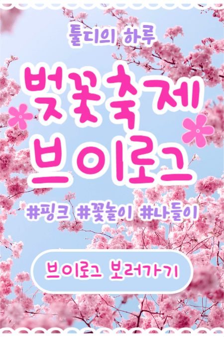 벚꽃축제 브이로그 (페이스북)
