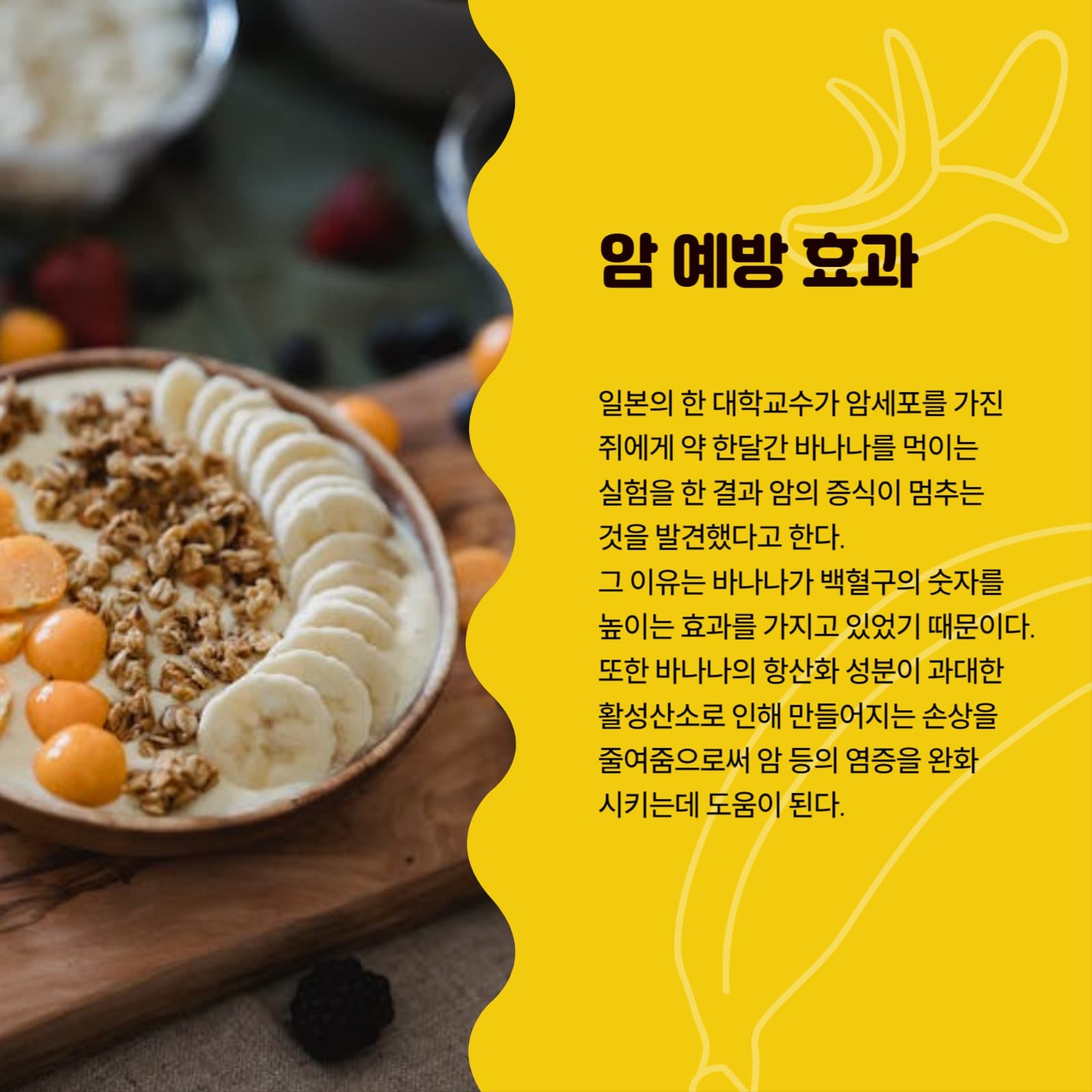바나나를 매일 먹어야 하는 이유