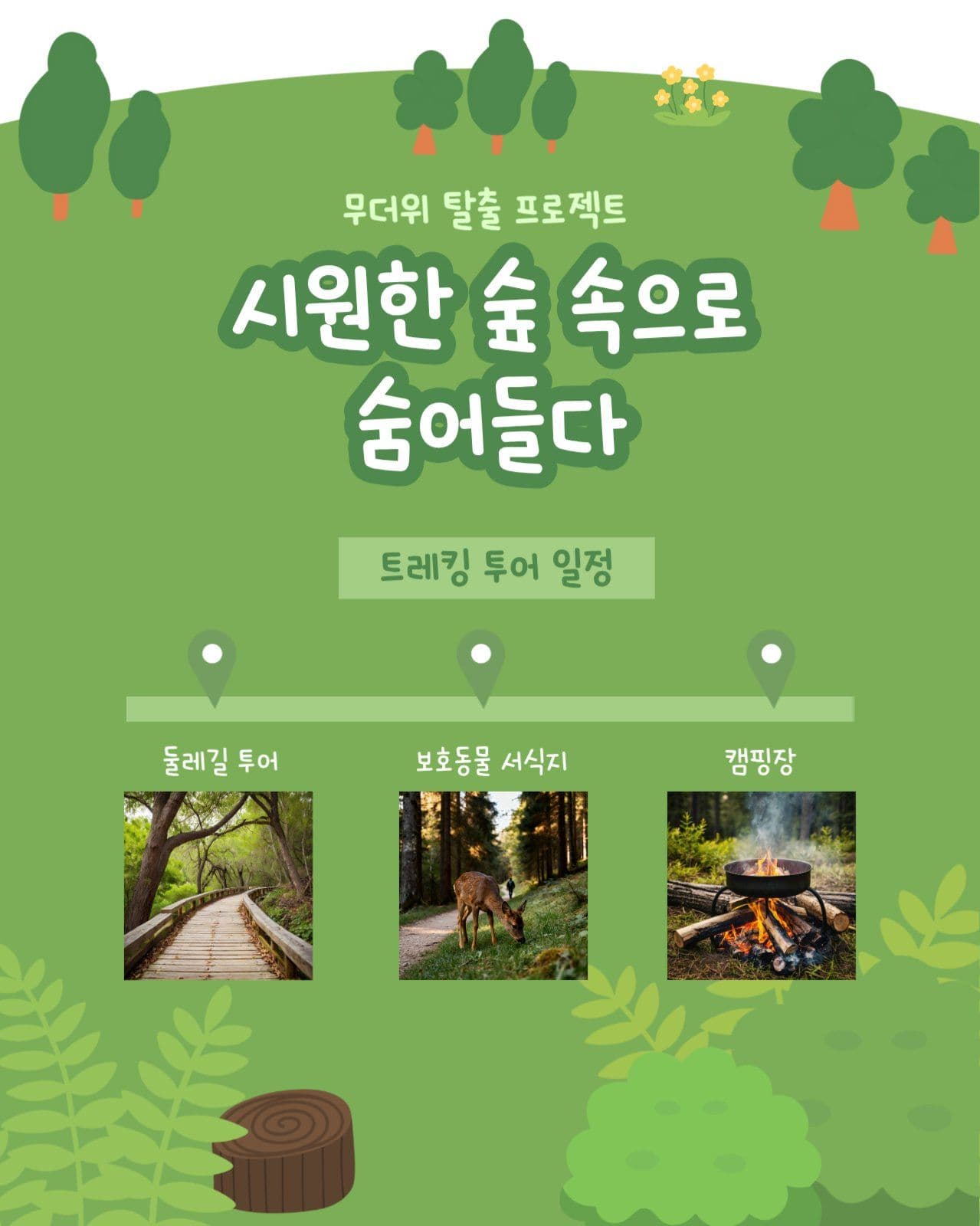 숲 투어