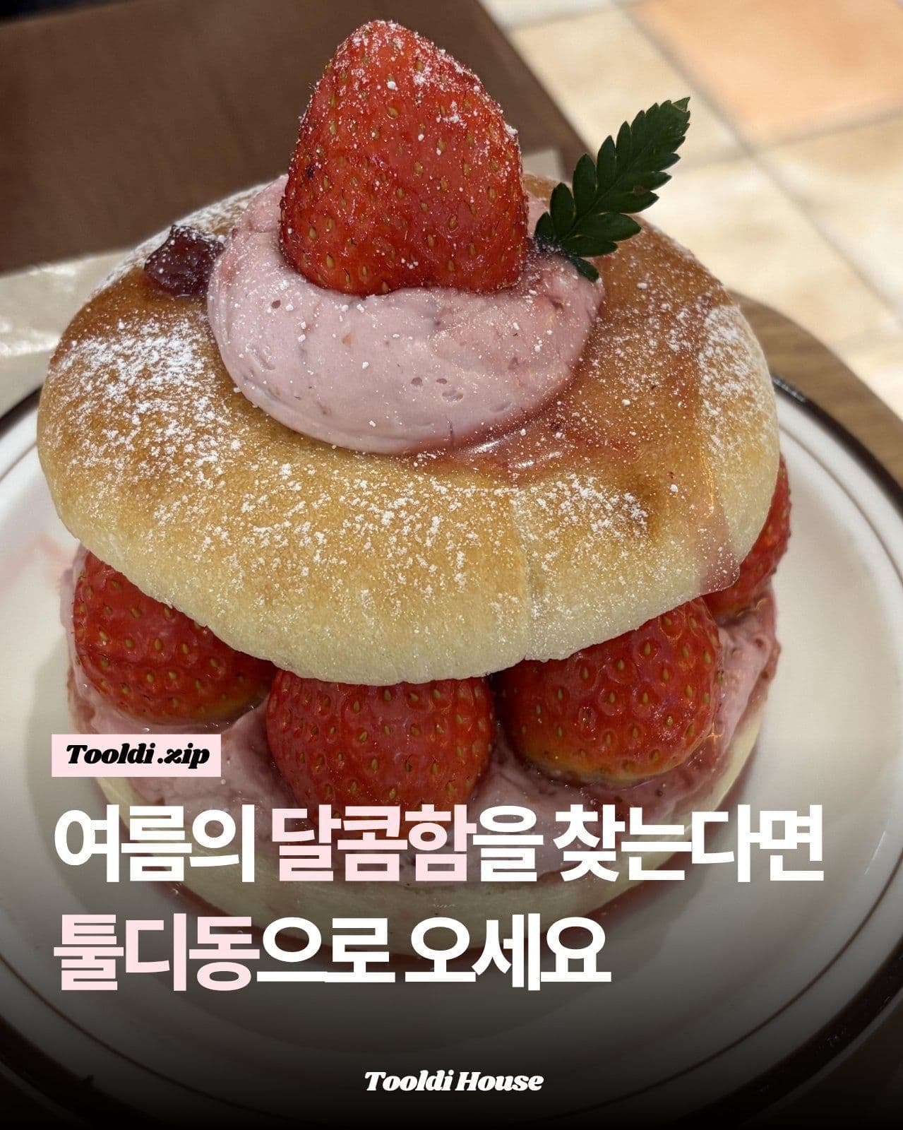 느좋 카드뉴스 매거진 템플릿