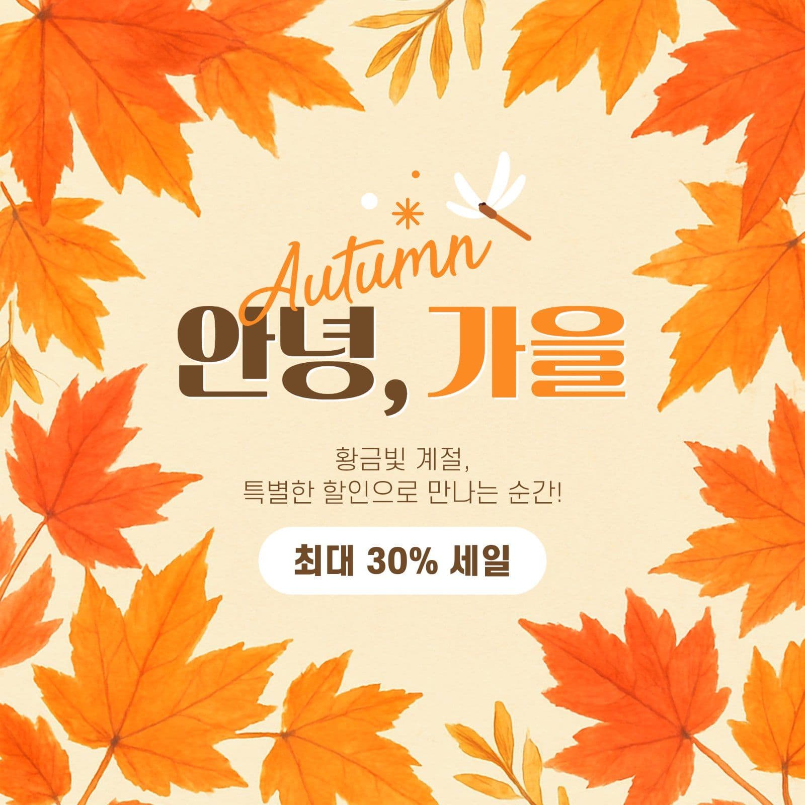 가을 세일 게시물