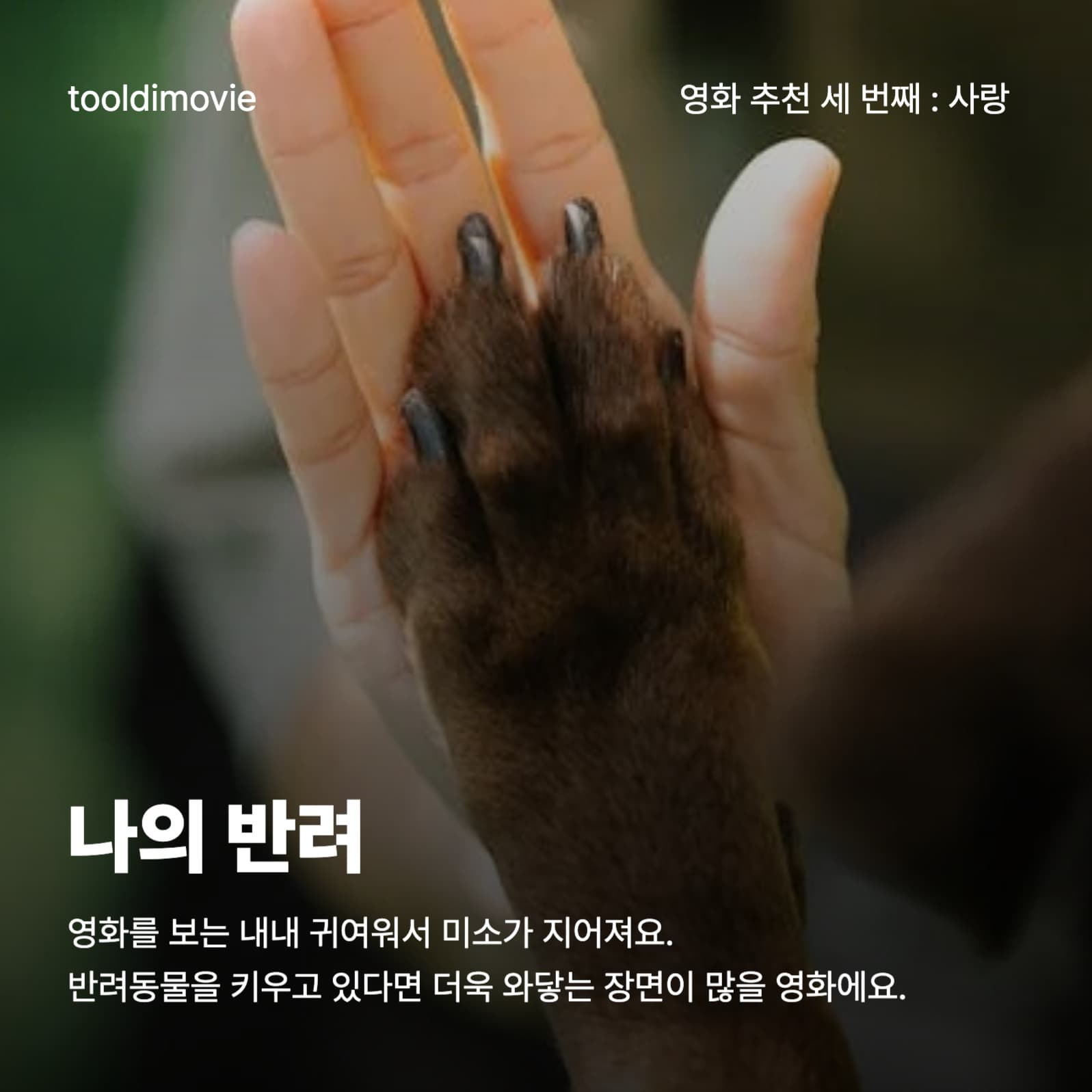 영화 추천