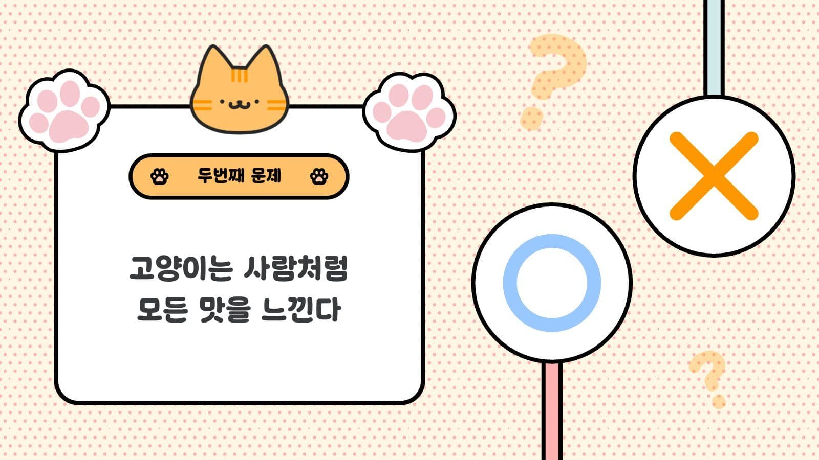 오엑스 퀴즈용 PPT 고양이 편