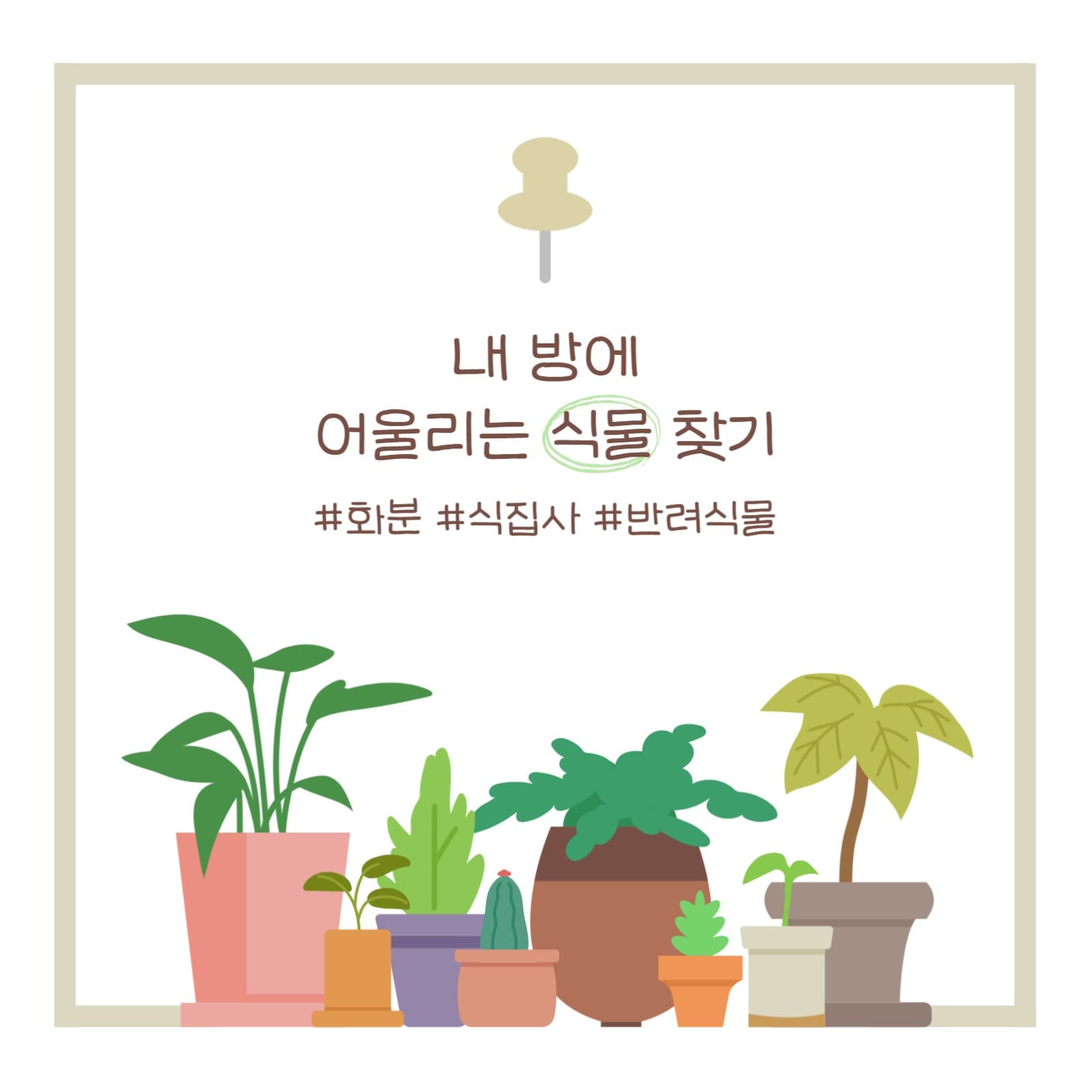 내방에 어울리는 식물찾기
