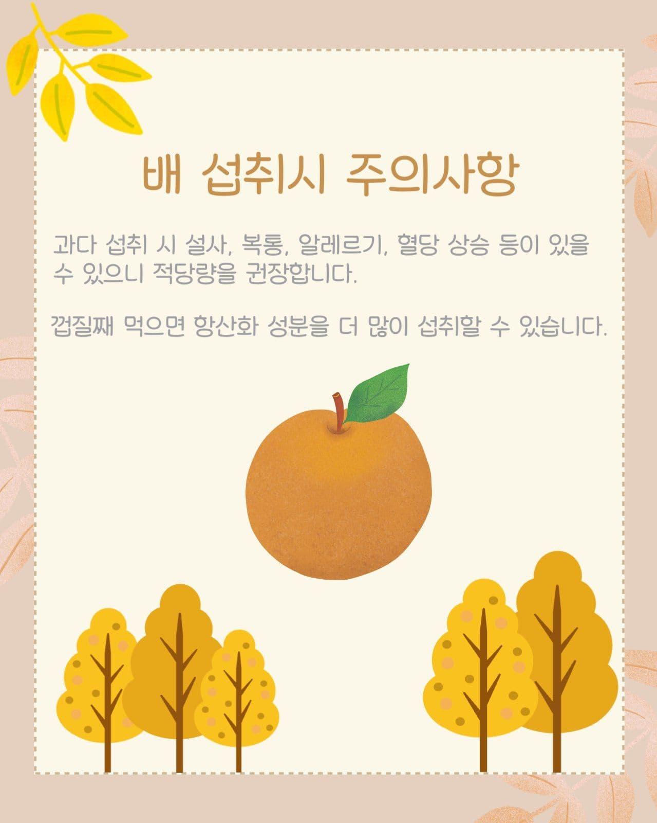 배 이야기
