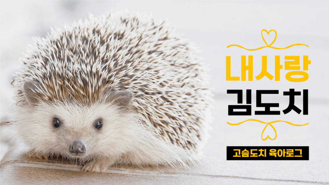 고슴도치 육아로그 유튜브 썸네일