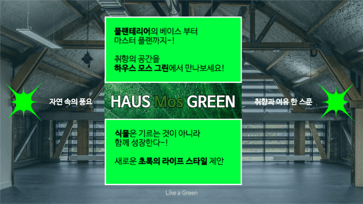 플랜테리어 인테리어 브랜딩 제안