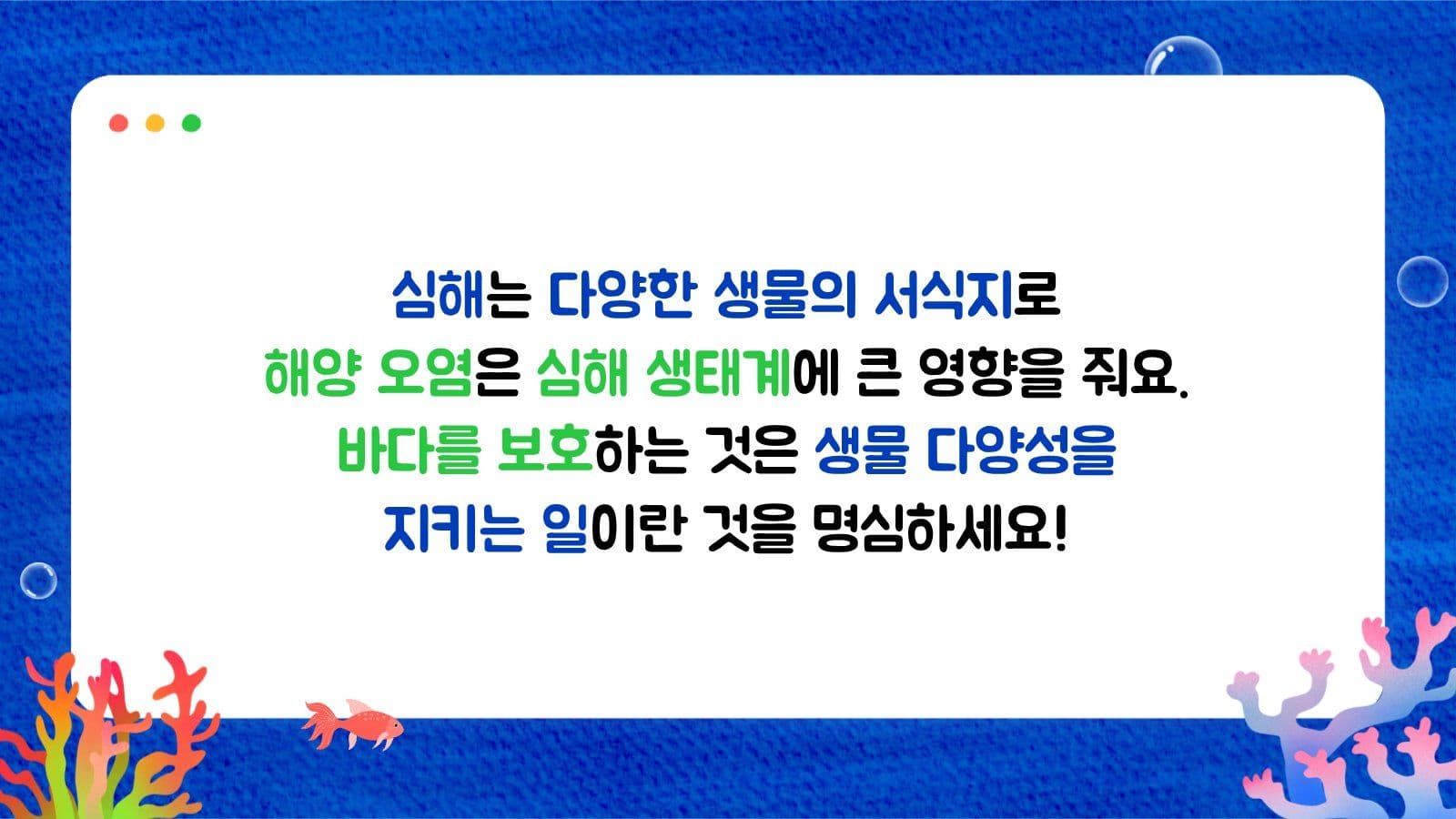산호초 해양생물 교육자료