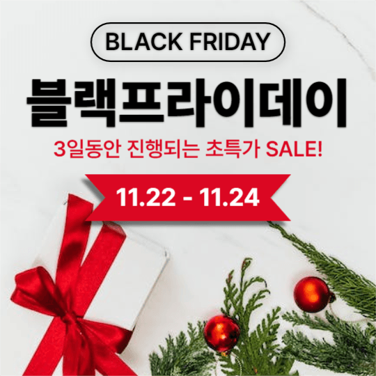 블랙프라이데이 (인스타)